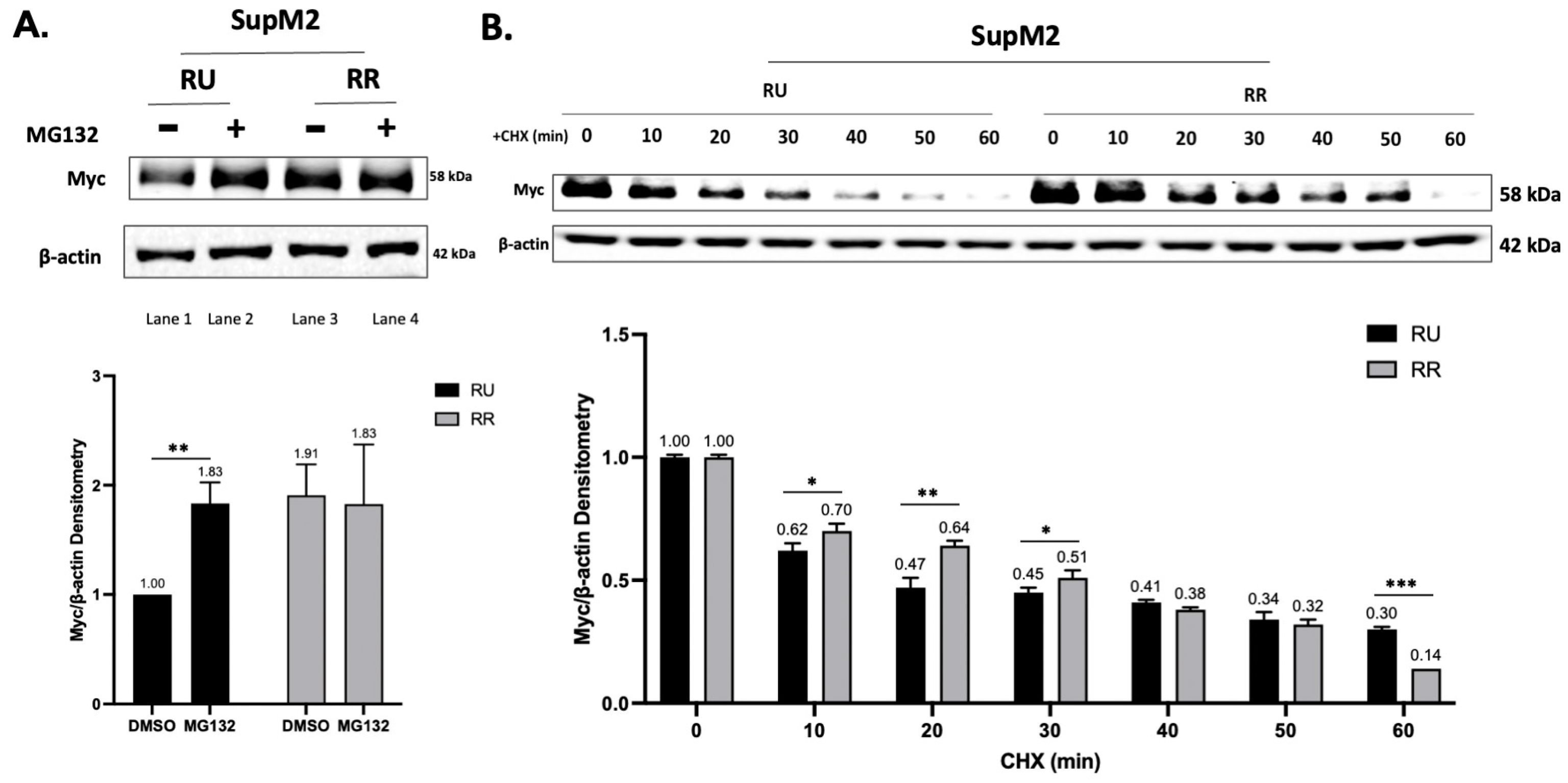 Ijms 24 14337 g002 Ijms 24 14337 g002
