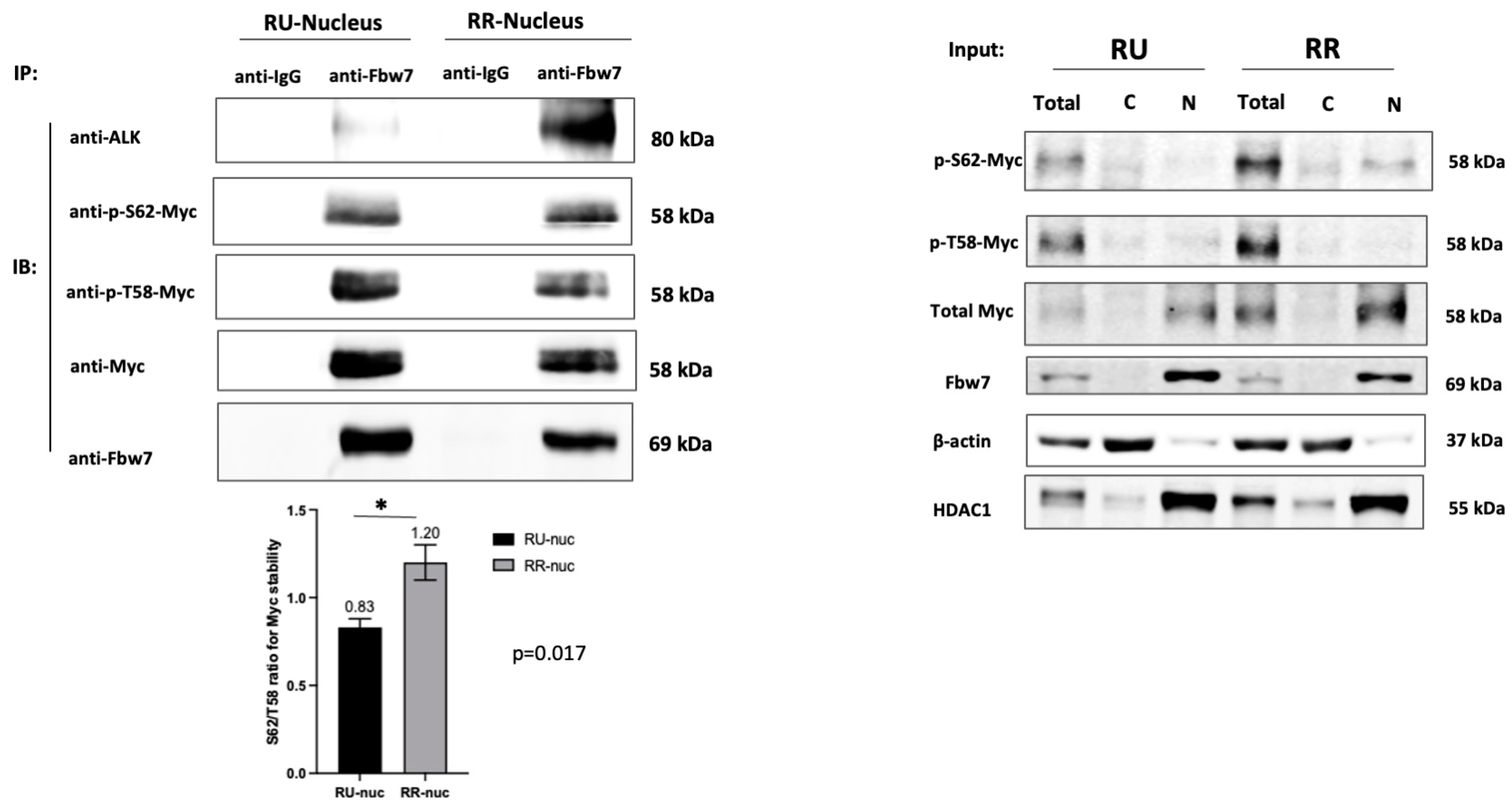 Ijms 24 14337 g006 Ijms 24 14337 g006