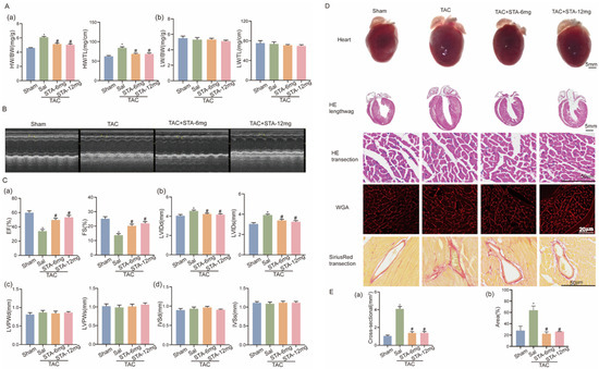 Taxonomic and Functional Variations Induced by an Overloading