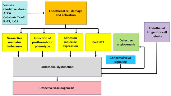 Endothelial Dysfunction in Systemic Sclerosis