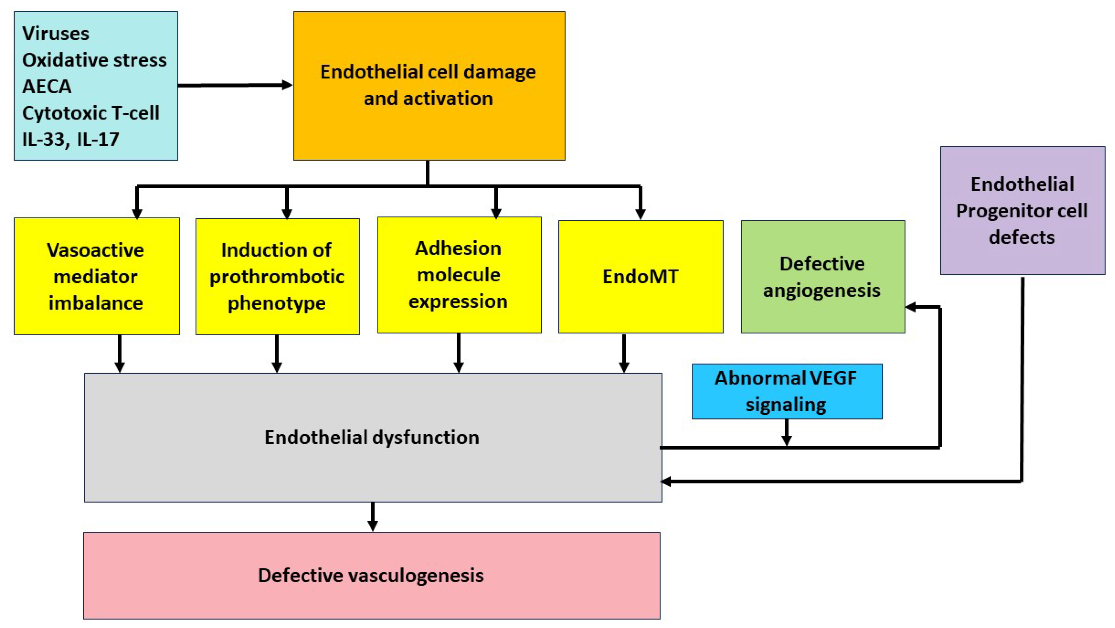 Ijms 24 14385 g001 Ijms 24 14385 g001