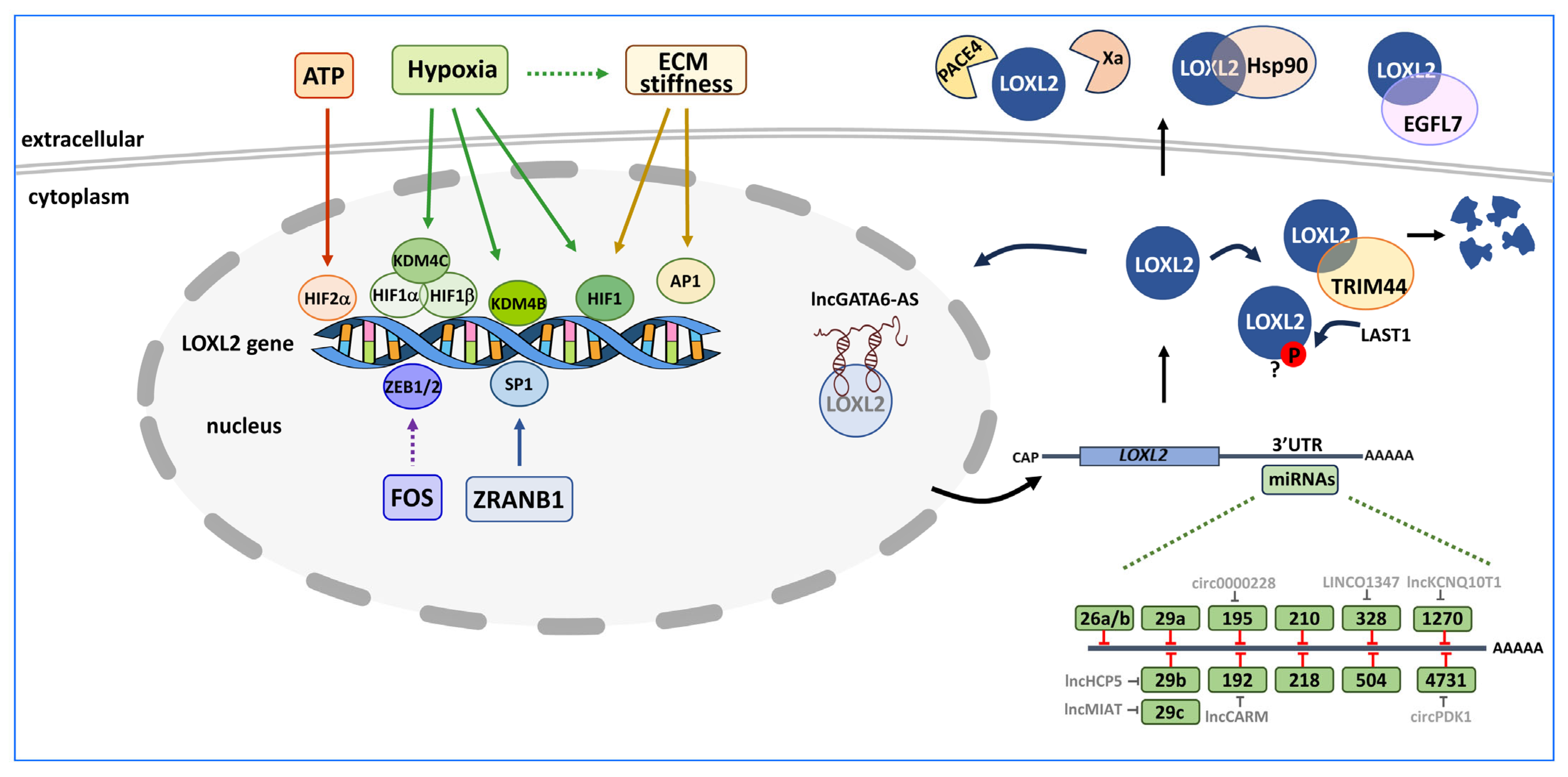 Ijms 24 14405 g003 Ijms 24 14405 g003