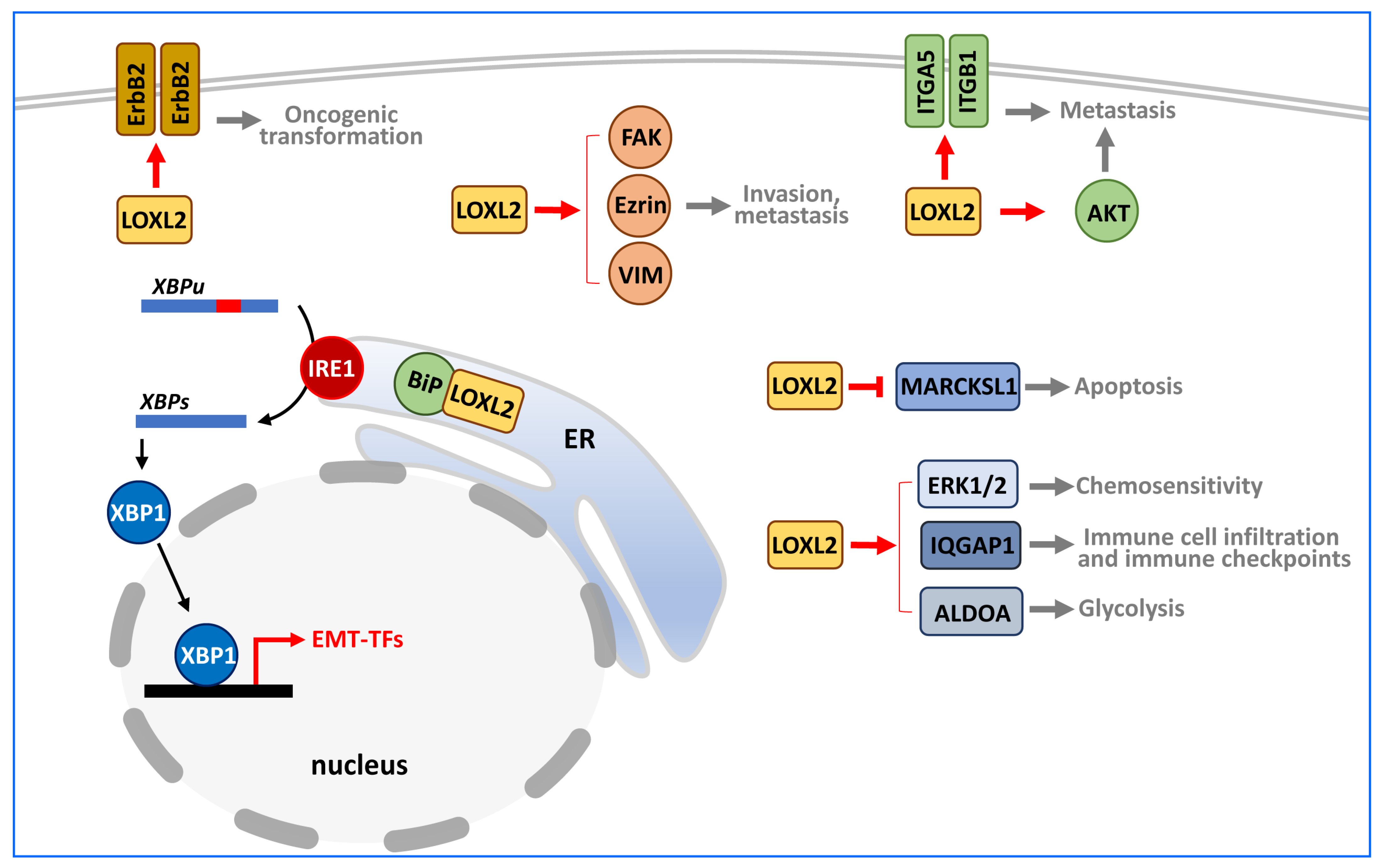 Ijms 24 14405 g005 Ijms 24 14405 g005