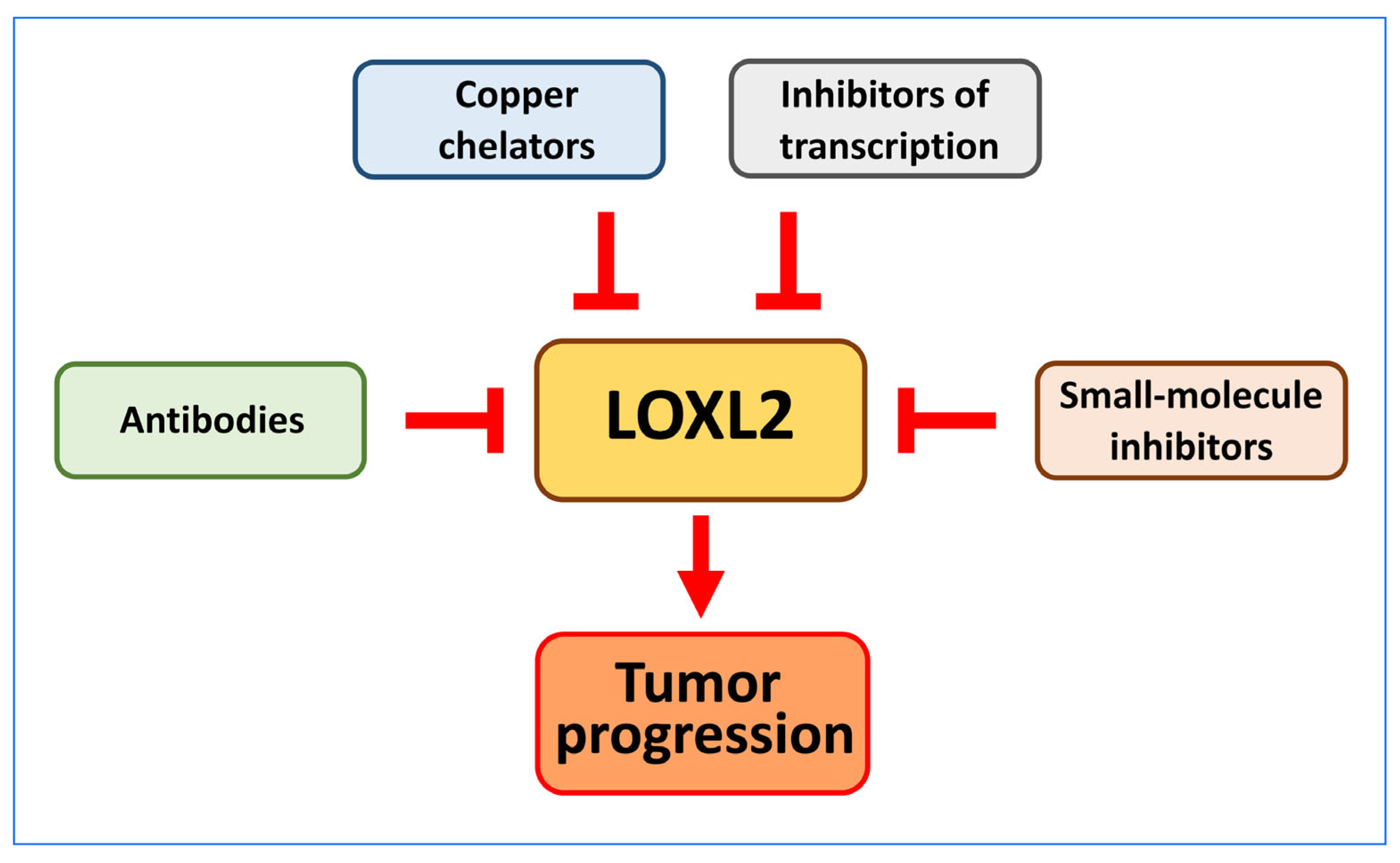 Ijms 24 14405 g007 Ijms 24 14405 g007