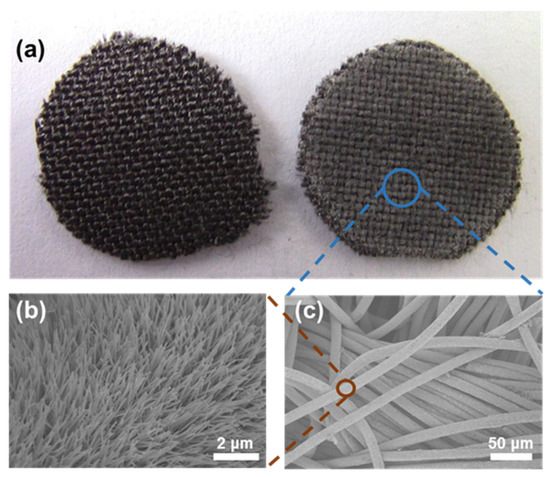 Enhanced Antibacterial Ability of Electrospun PCL Scaffolds