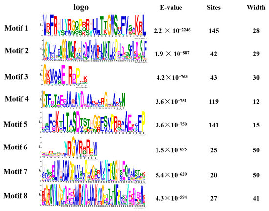 AP2/EREBP Pathway Plays an Important Role in Chaling Wild