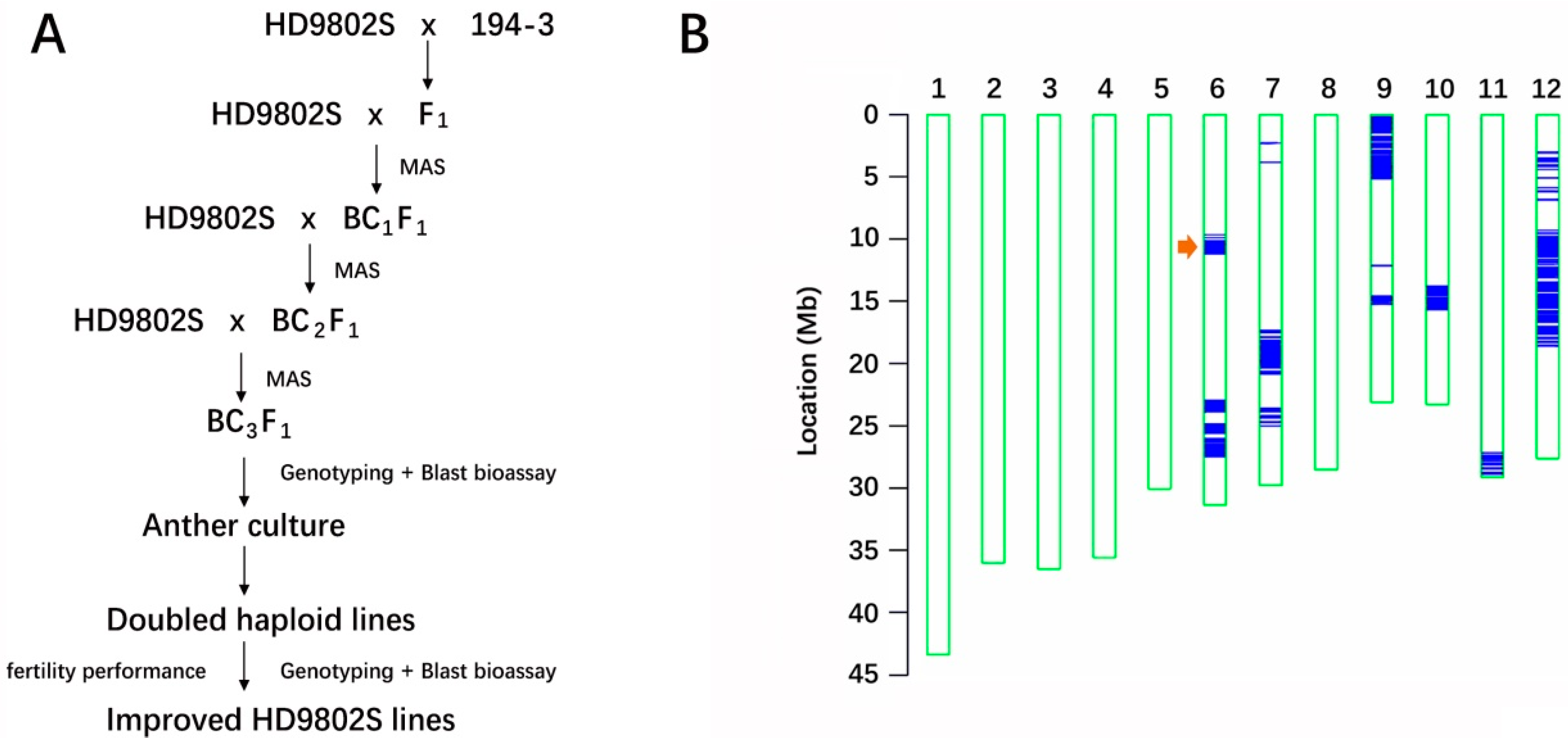 Ijms 24 14446 g001 Ijms 24 14446 g001