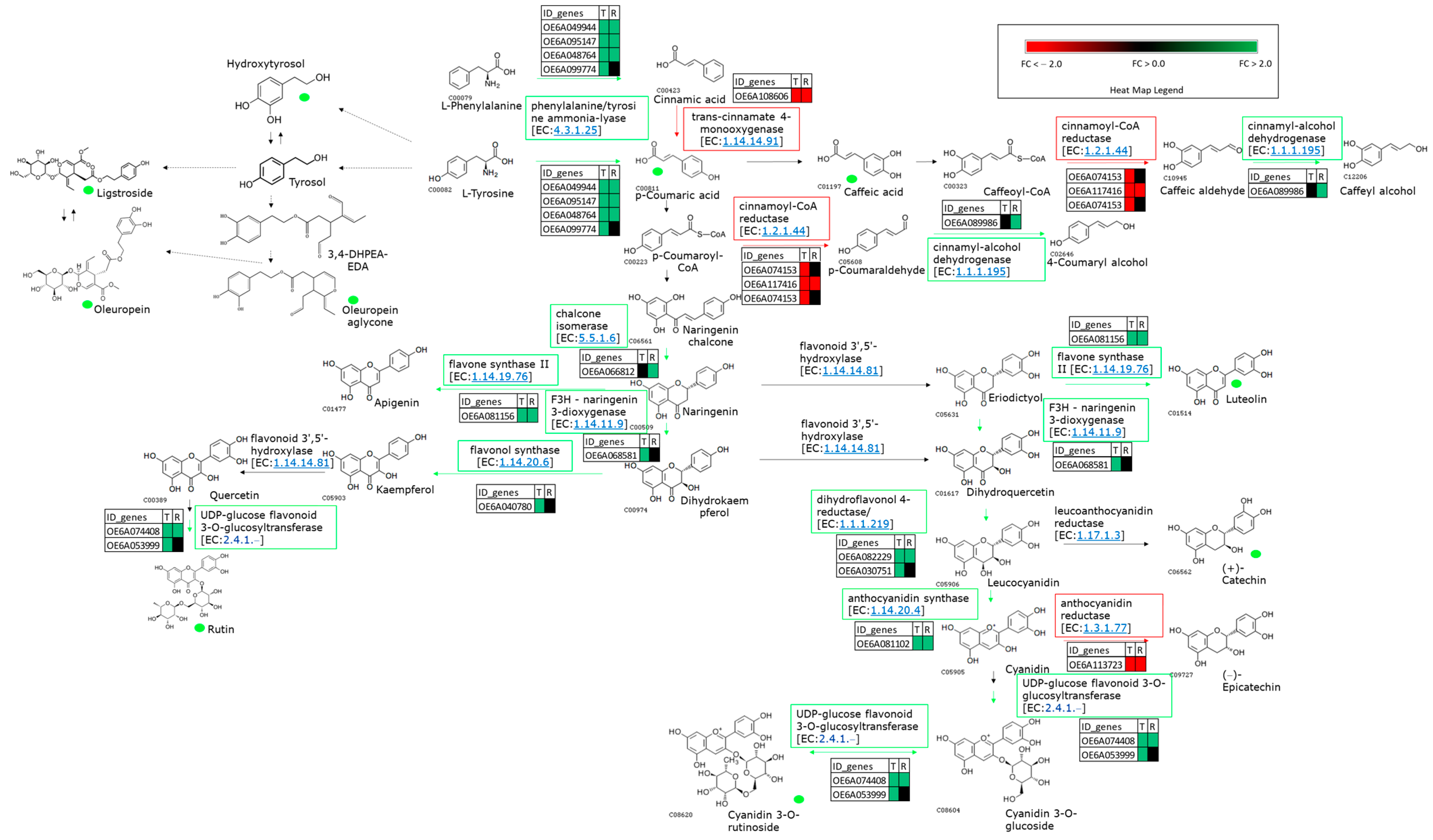 Ijms 24 14448 g003 Ijms 24 14448 g003