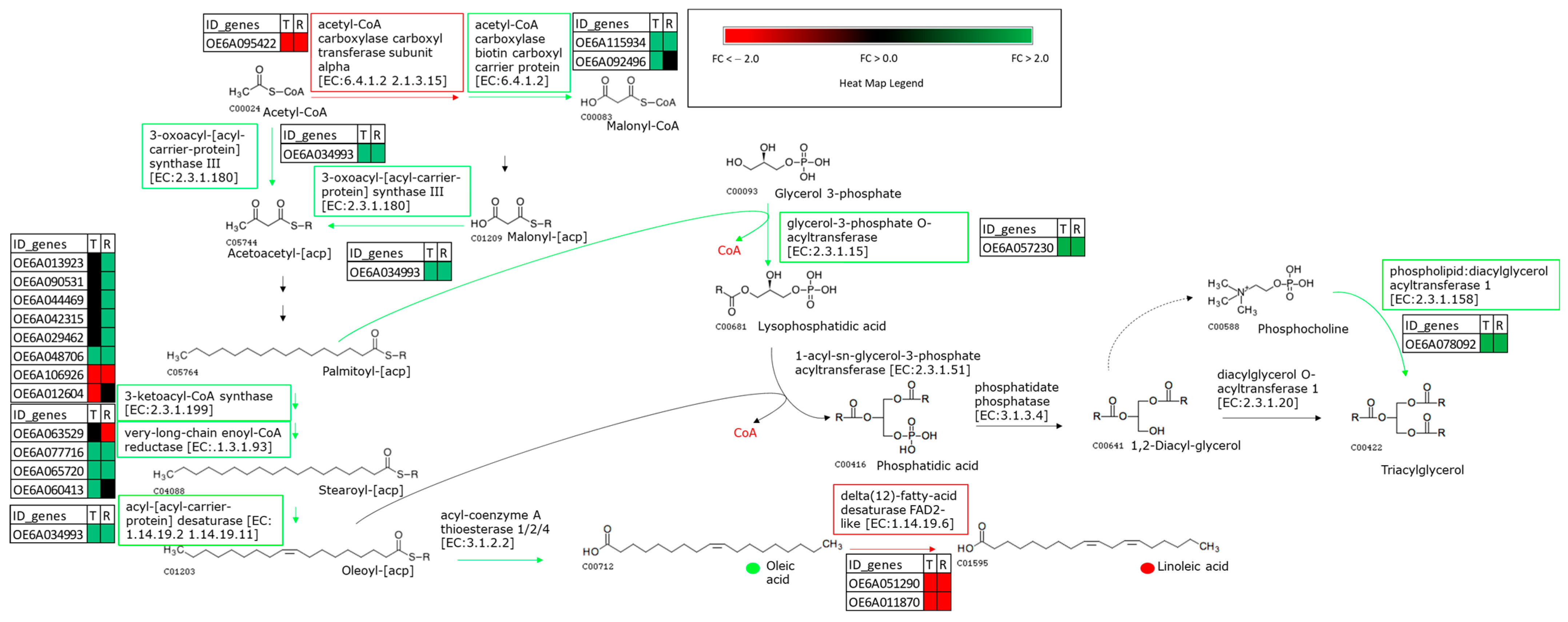 Ijms 24 14448 g004 Ijms 24 14448 g004