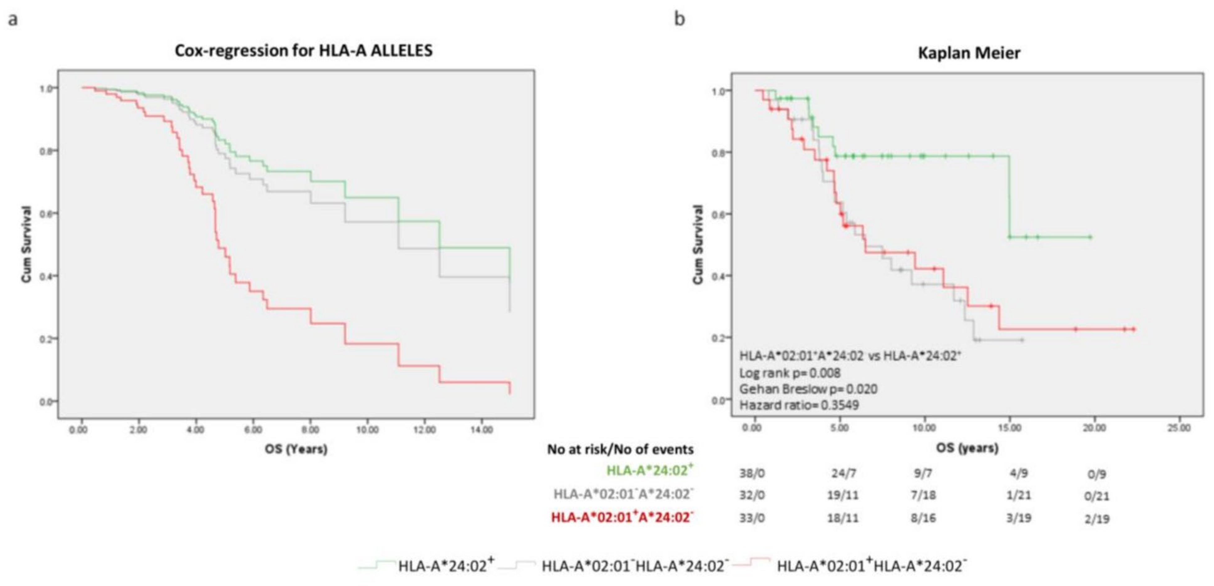 Ijms 24 14454 g003 Ijms 24 14454 g003