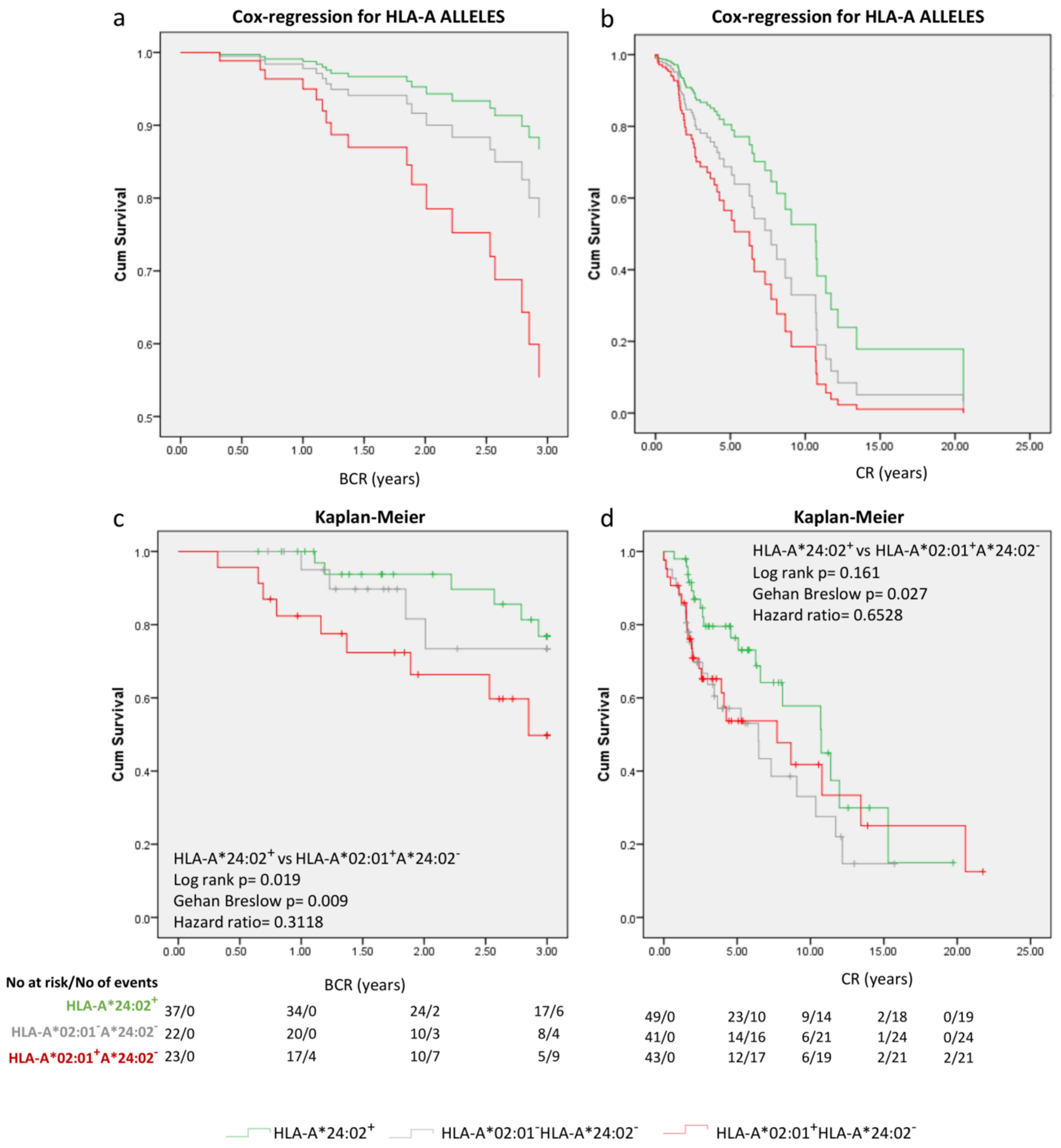 Ijms 24 14454 g004 Ijms 24 14454 g004