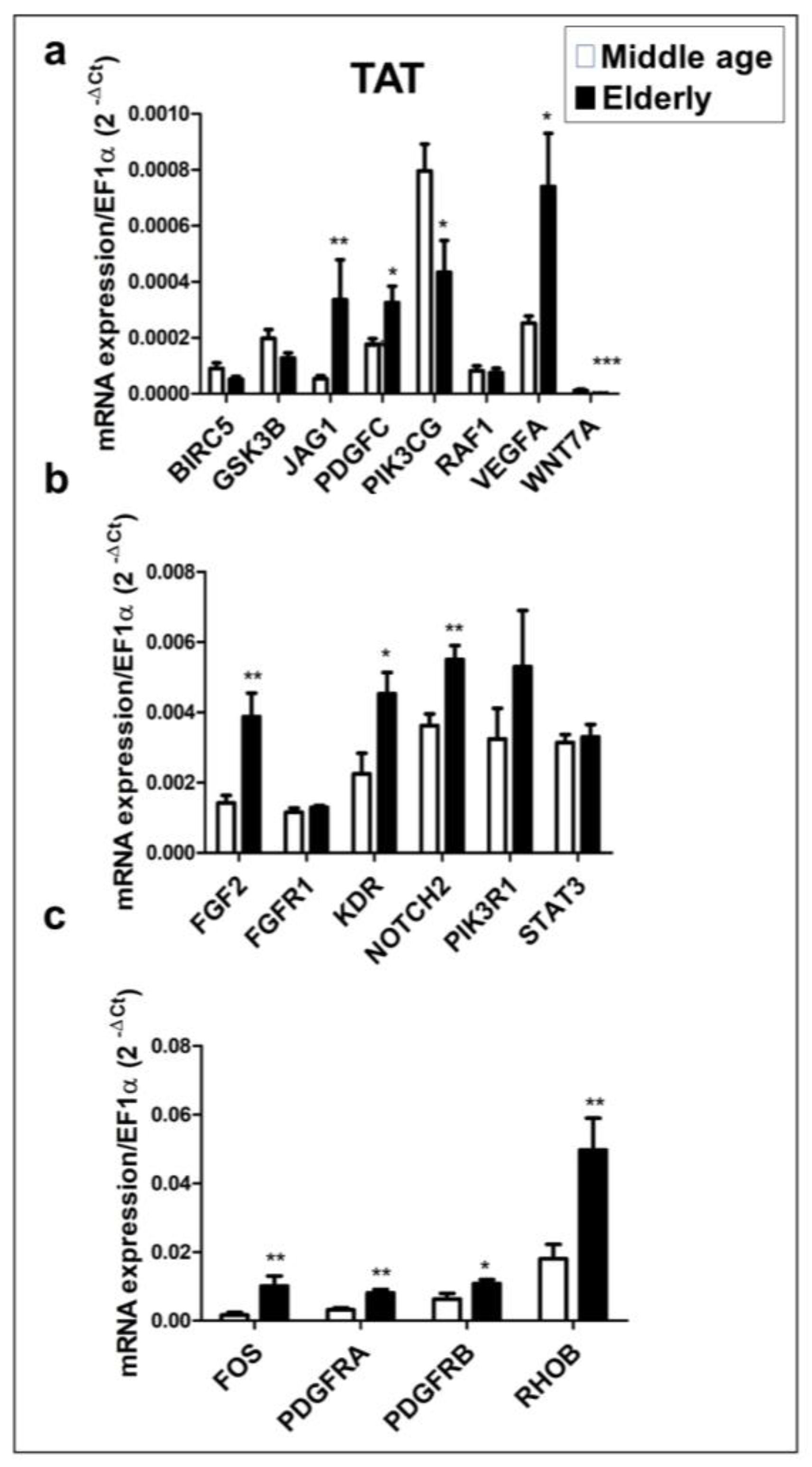 Ijms 24 14456 g004 Ijms 24 14456 g004