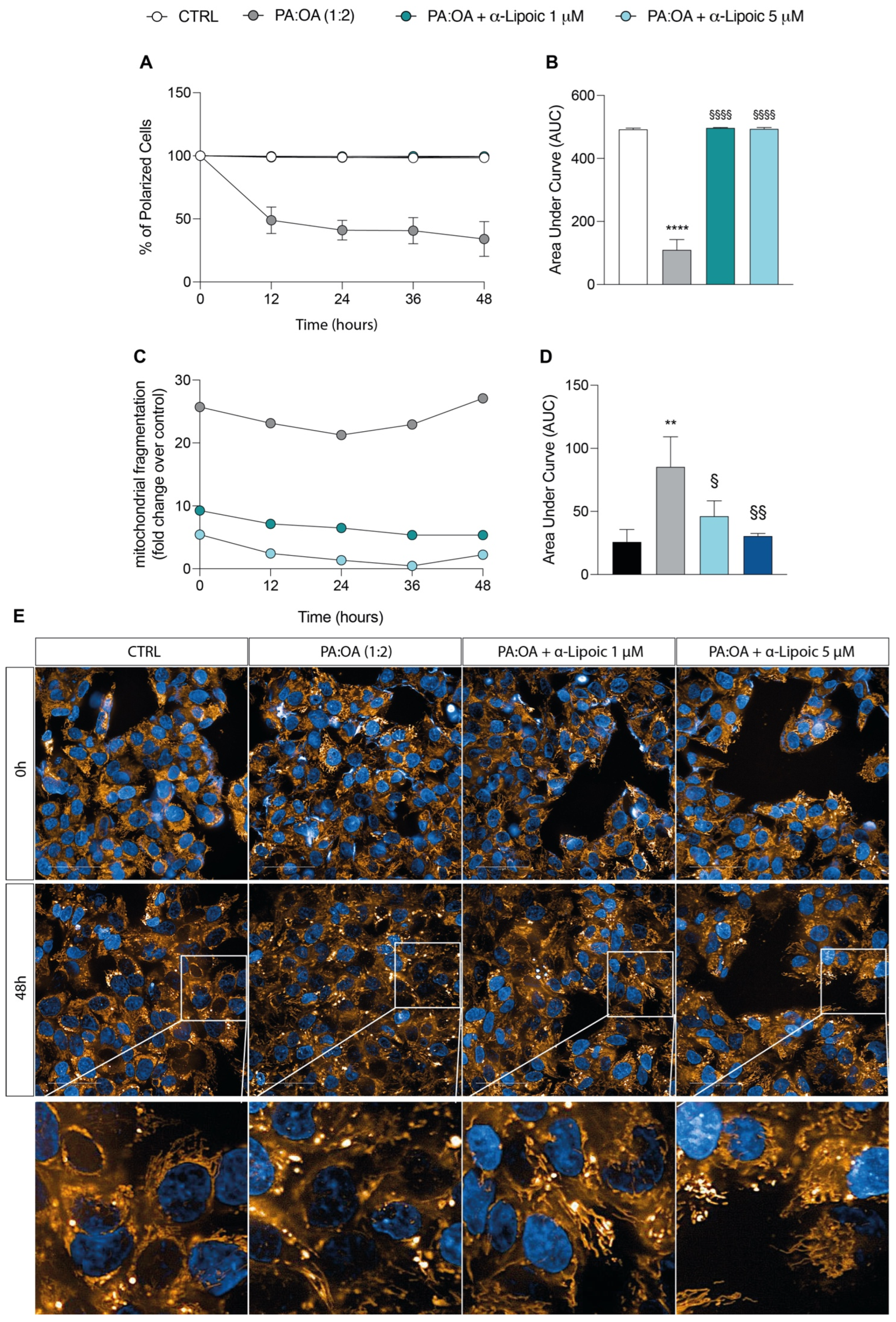 Ijms 24 14491 g005 Ijms 24 14491 g005
