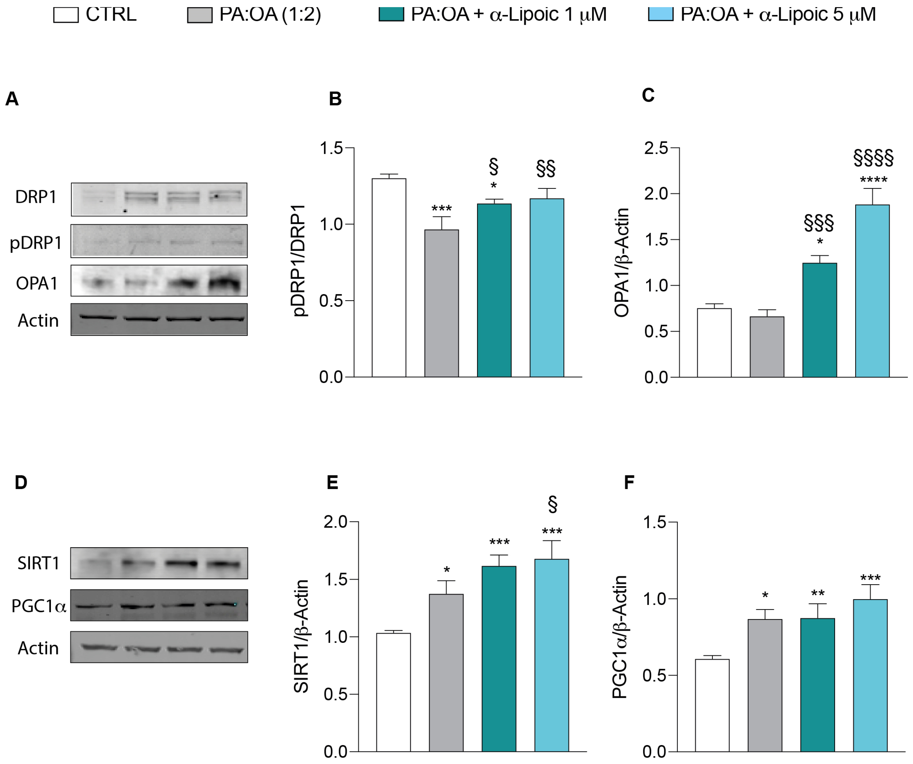 Ijms 24 14491 g007 Ijms 24 14491 g007