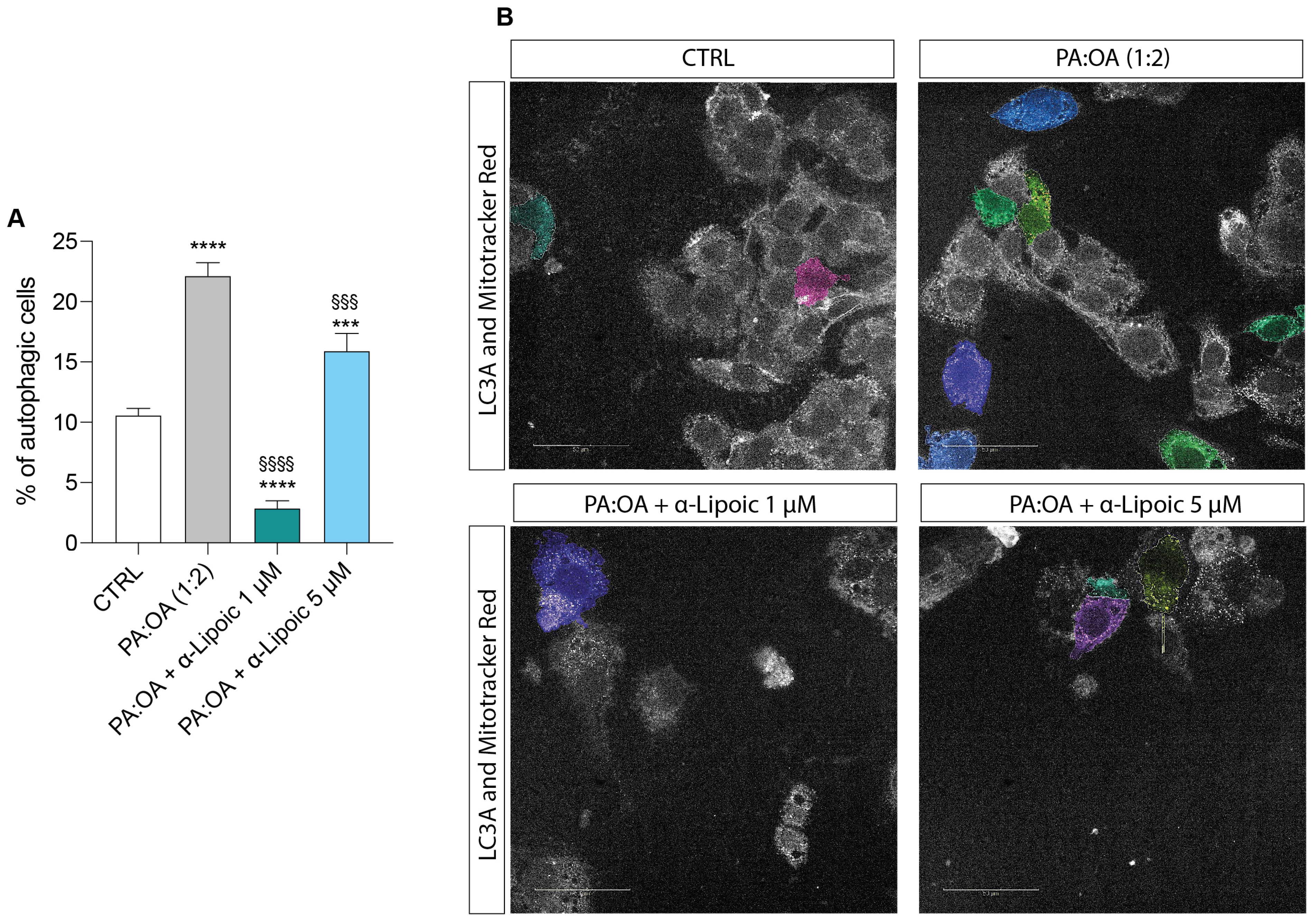 Ijms 24 14491 g008 Ijms 24 14491 g008