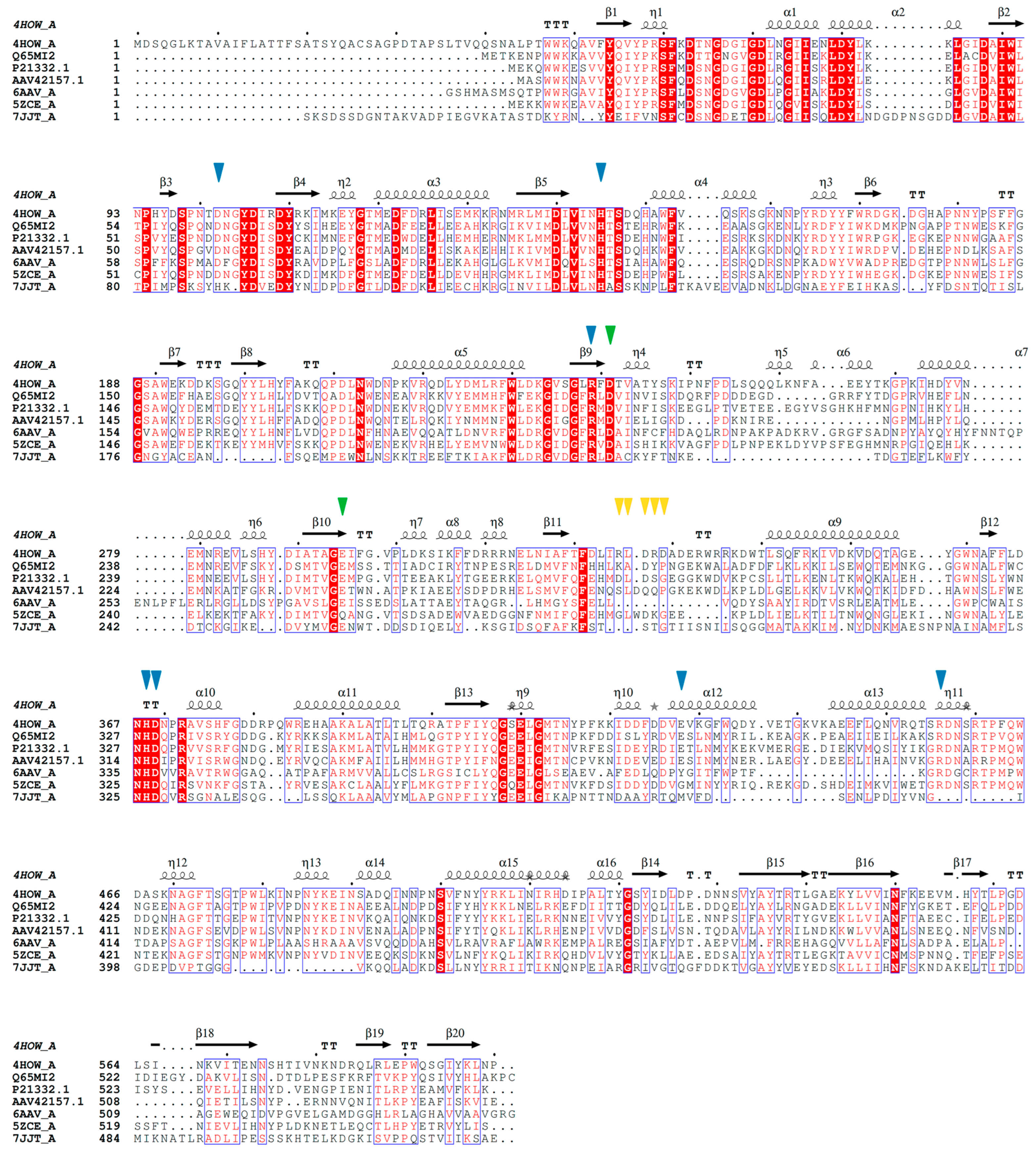 Ijms 24 14513 g002 Ijms 24 14513 g002