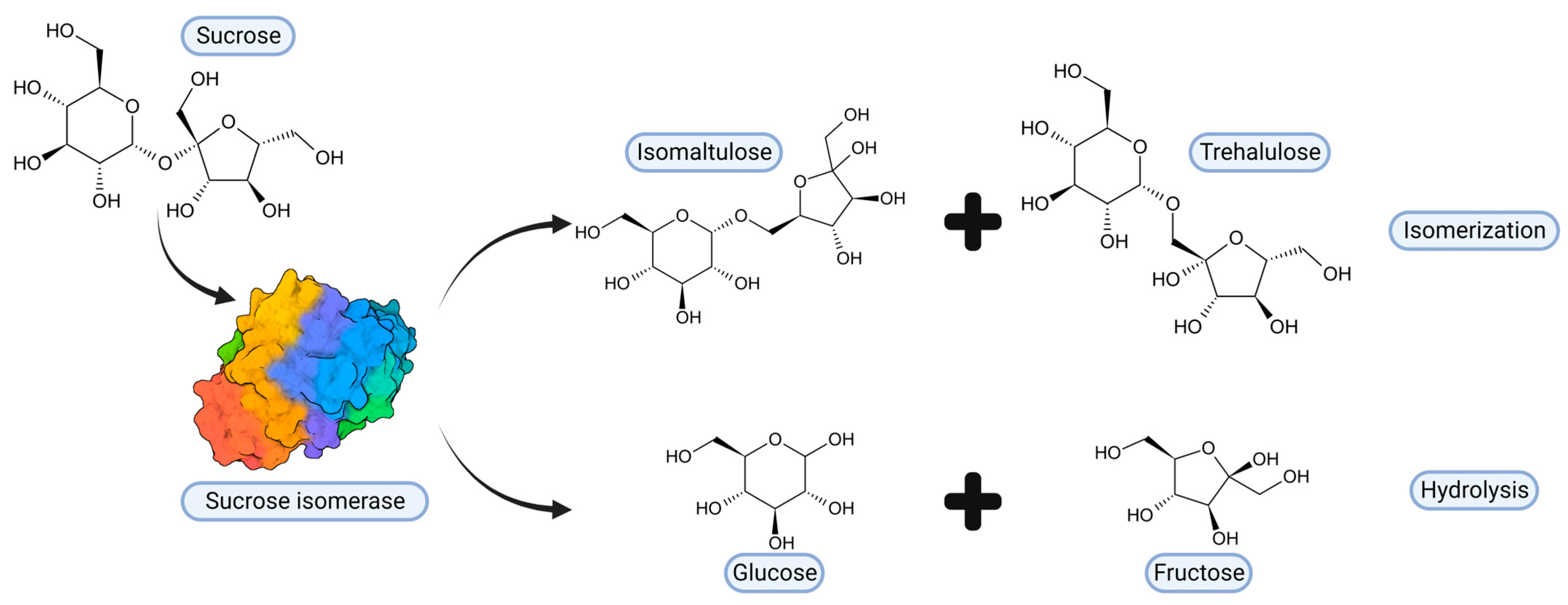 Ijms 24 14513 g003 Ijms 24 14513 g003