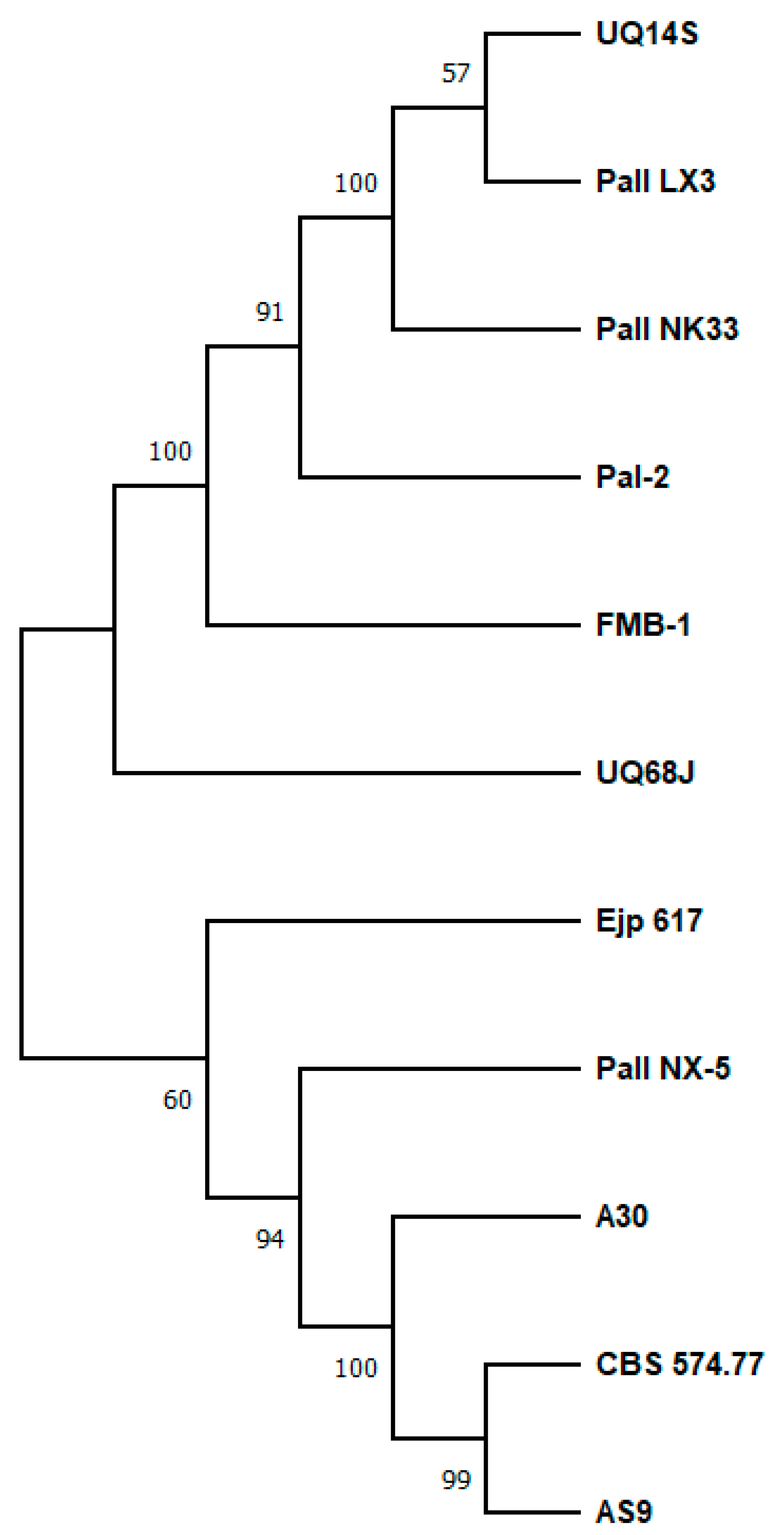 Ijms 24 14513 g004 Ijms 24 14513 g004