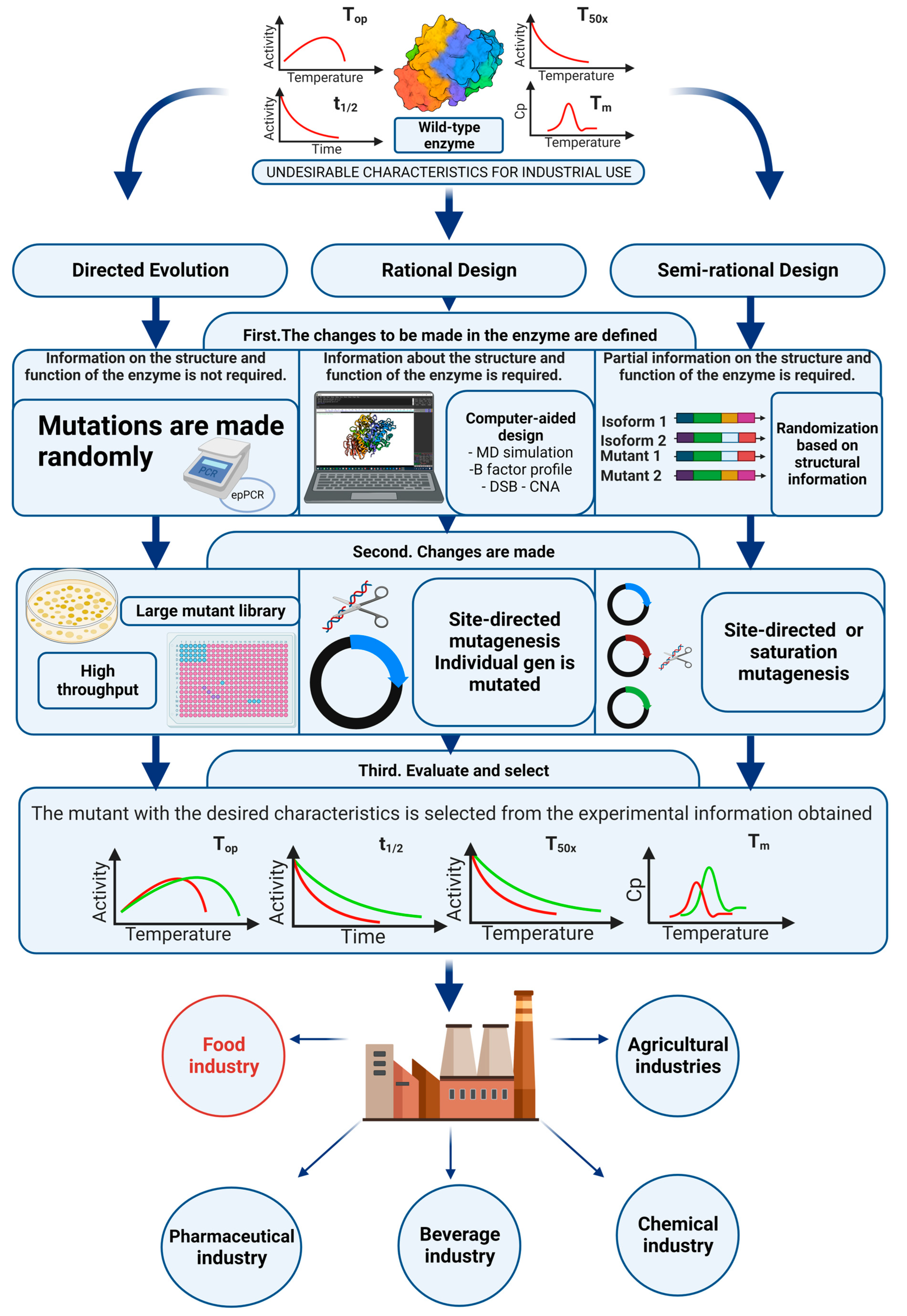 Ijms 24 14513 g005 Ijms 24 14513 g005