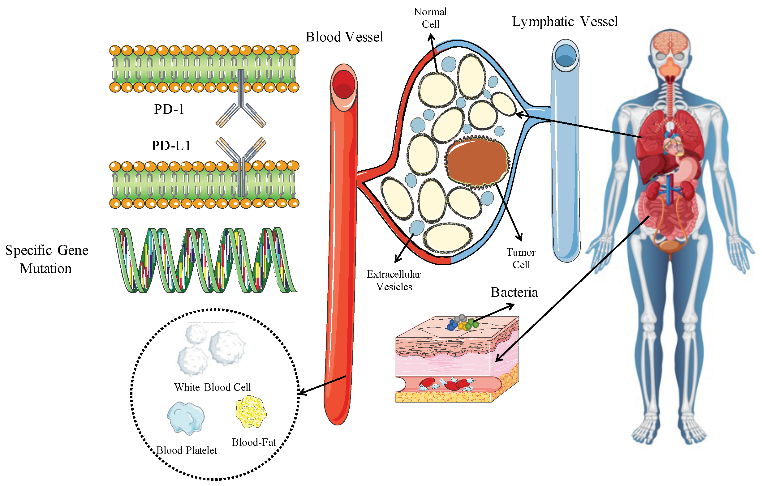 Biomarkers for Immunotherapy in Driver-Gene-Negative