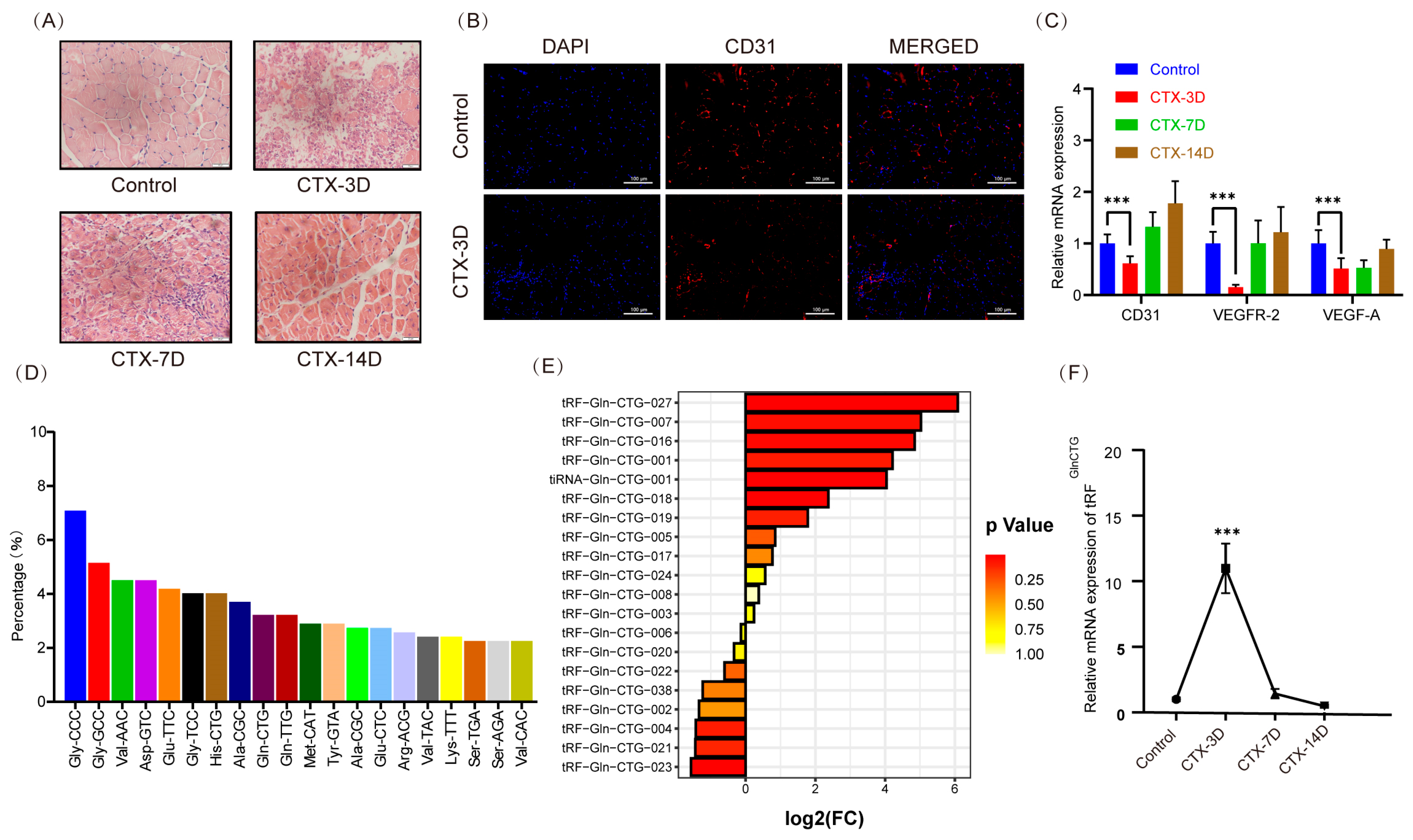 Ijms 24 14552 g001 Ijms 24 14552 g001