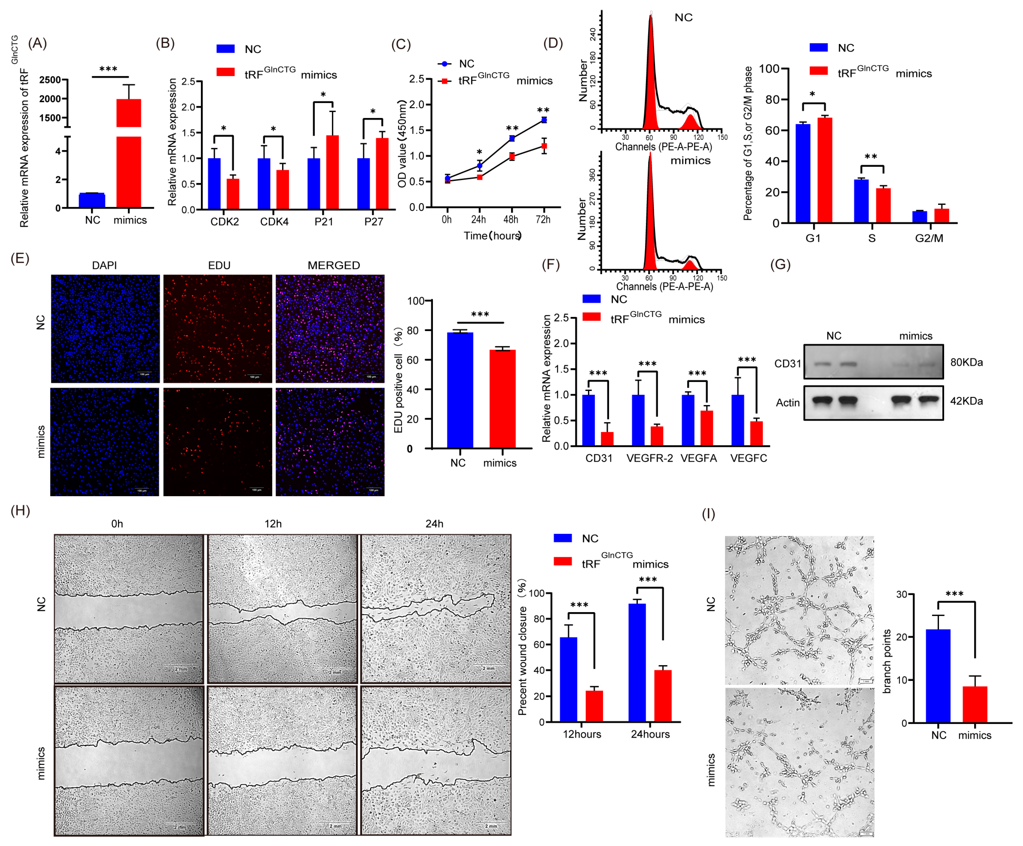 Ijms 24 14552 g002 Ijms 24 14552 g002