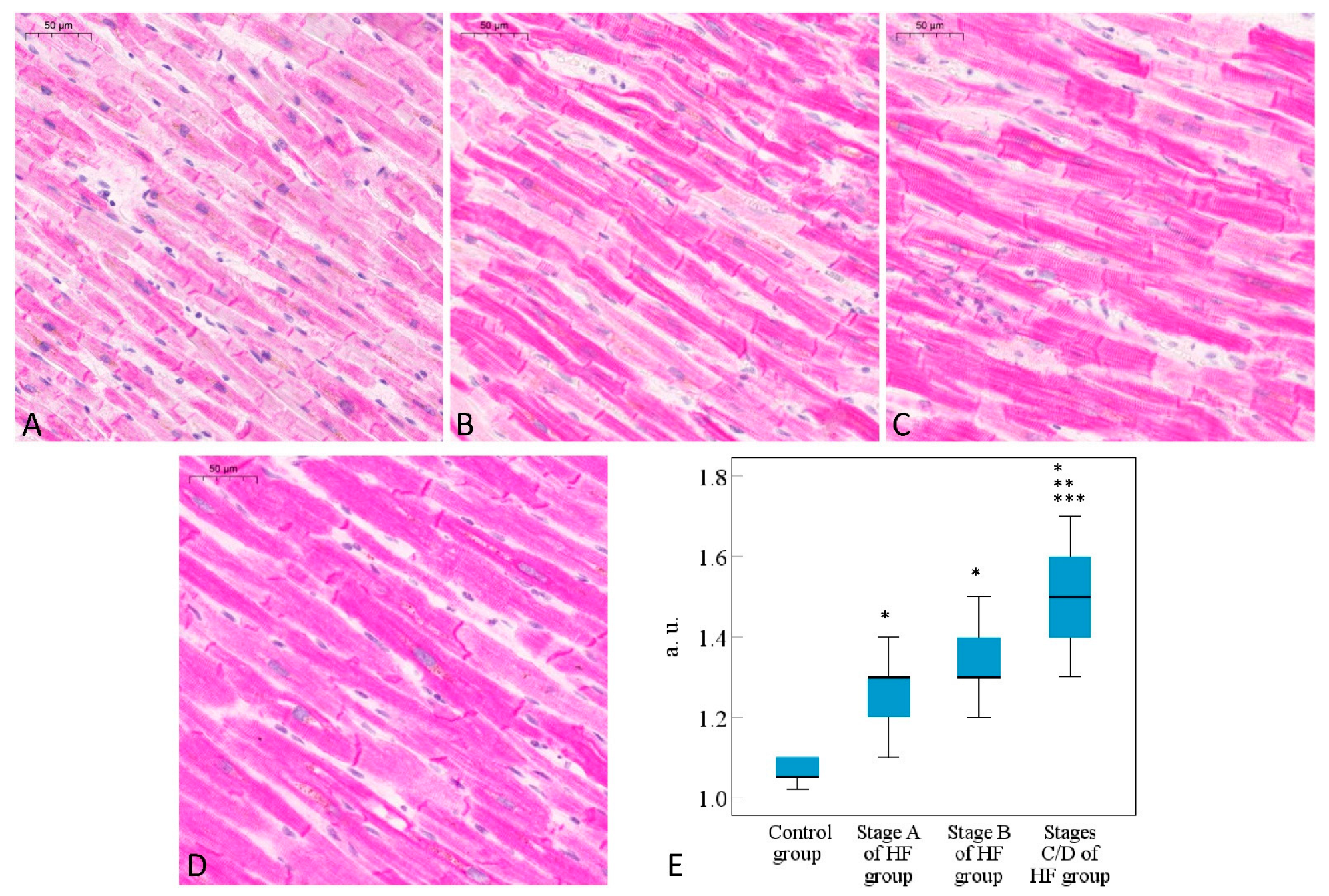 Ijms 24 14557 g001 Ijms 24 14557 g001