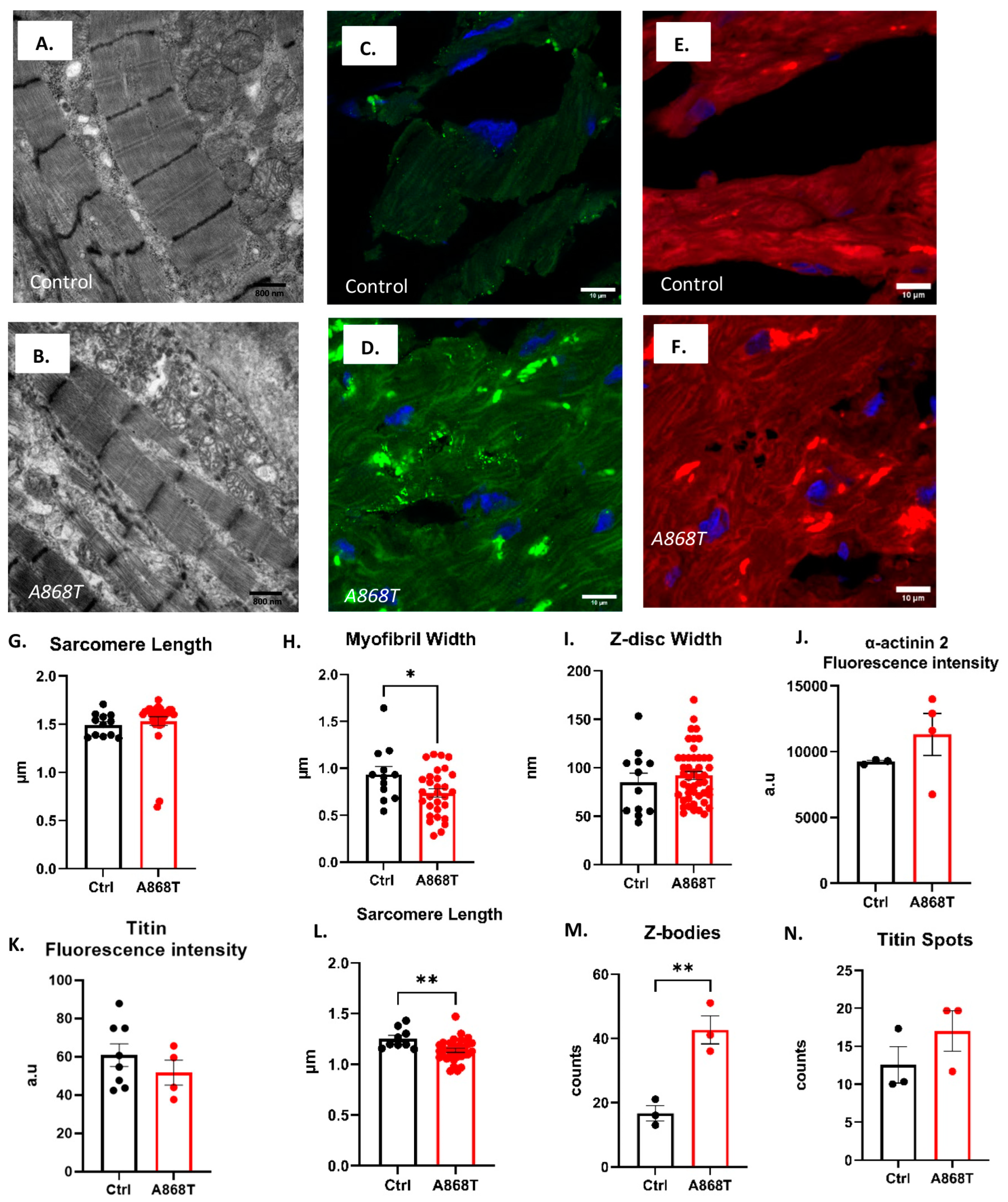 Ijms 24 14572 g002 Ijms 24 14572 g002