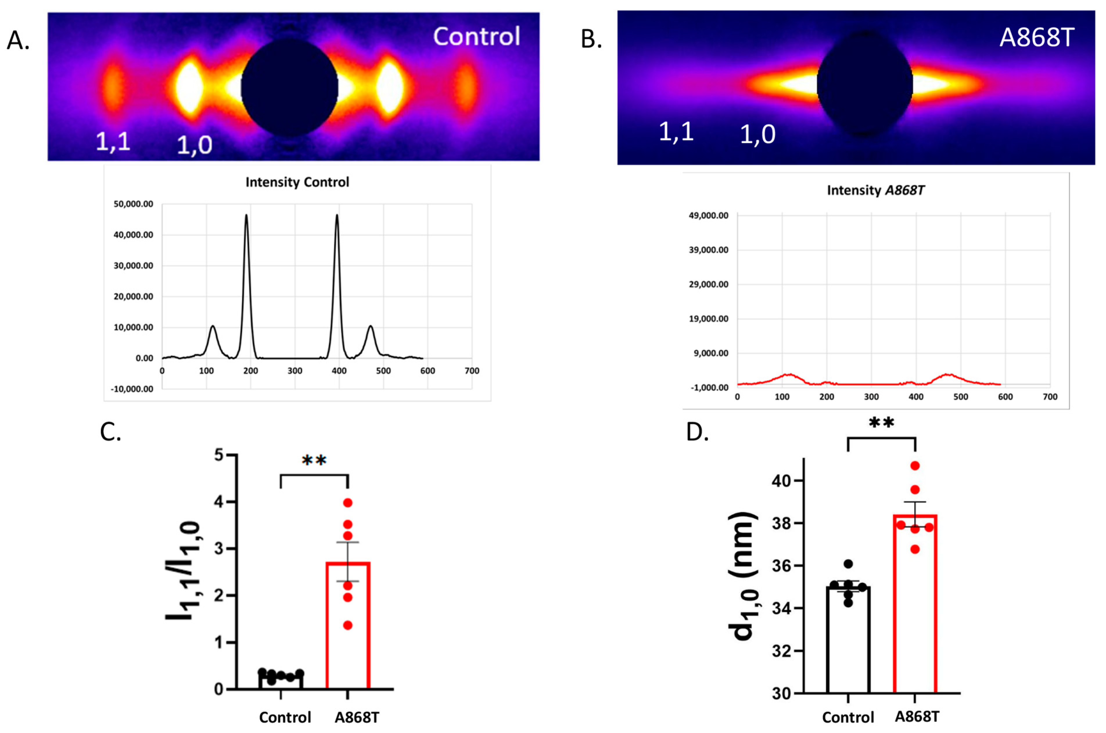 Ijms 24 14572 g004 Ijms 24 14572 g004
