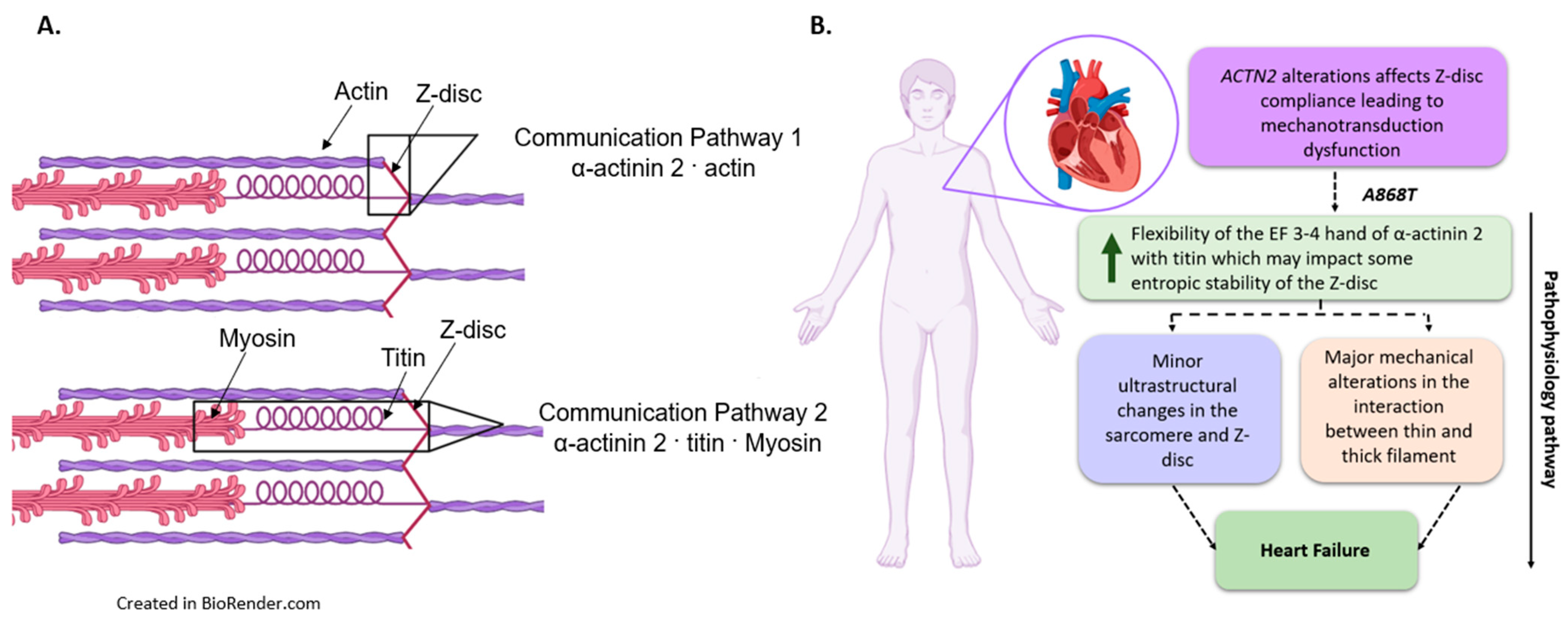 Ijms 24 14572 g006 Ijms 24 14572 g006