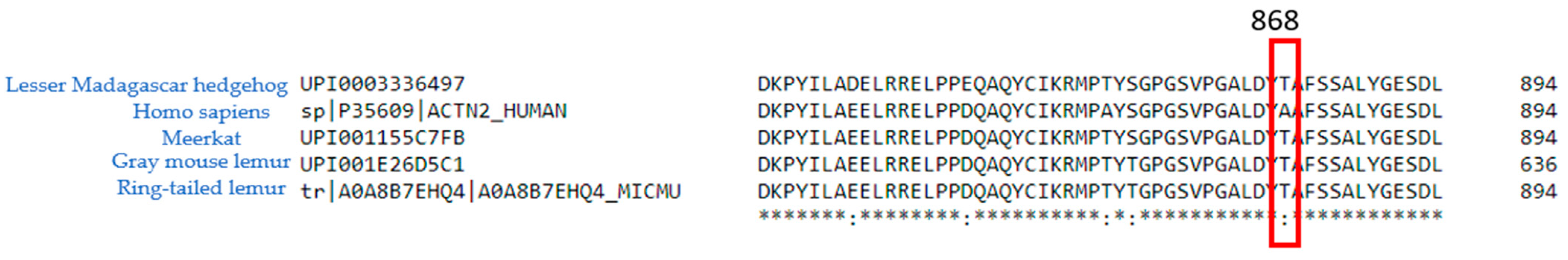 Ijms 24 14572 g0a2 Ijms 24 14572 g0a2