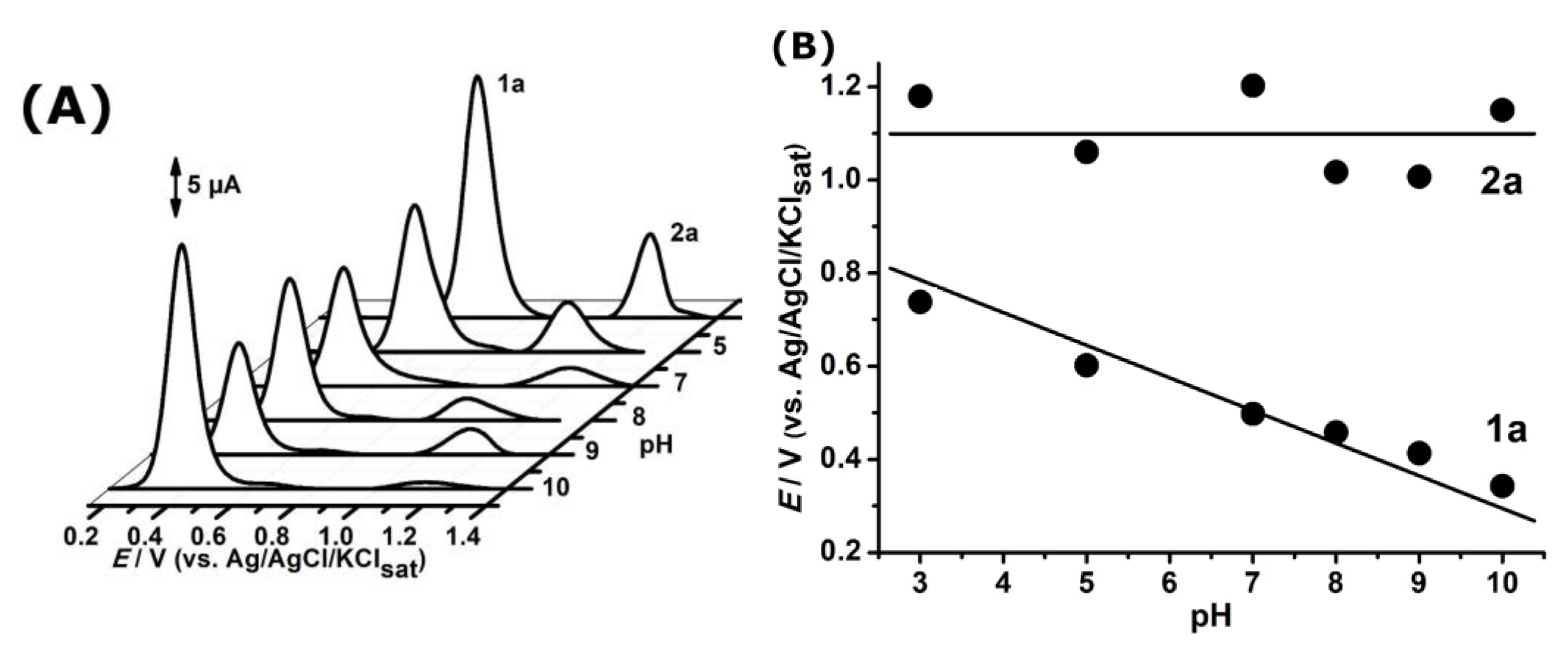 Ijms 24 14575 g004 Ijms 24 14575 g004