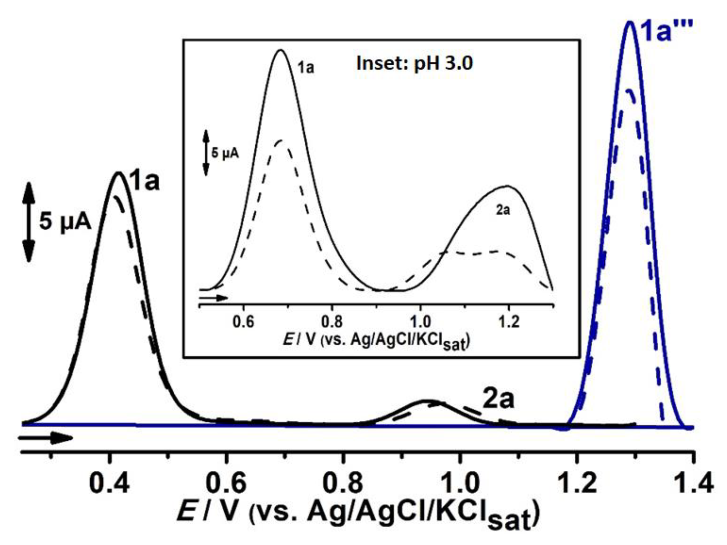 Ijms 24 14575 g007 Ijms 24 14575 g007