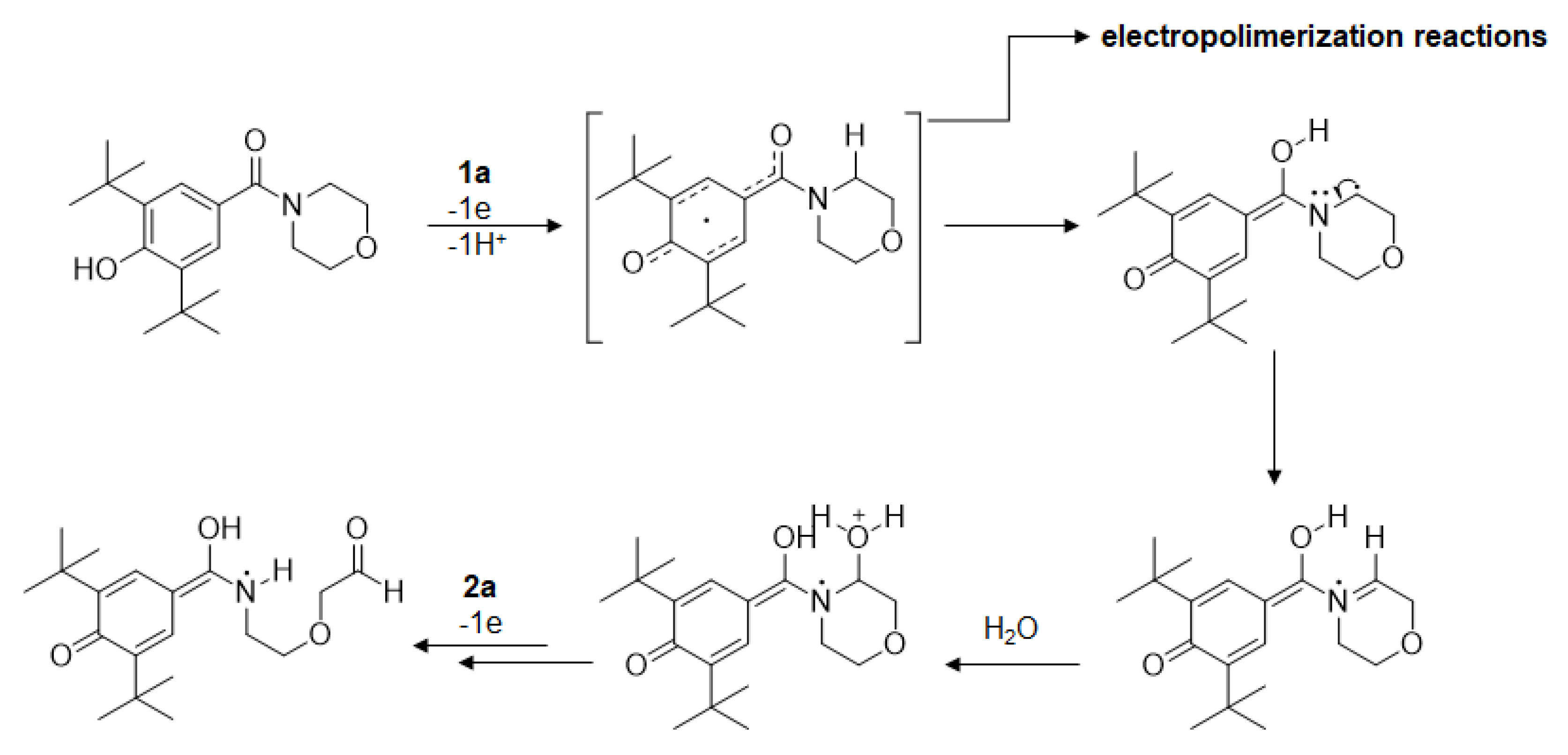 Ijms 24 14575 g008 Ijms 24 14575 g008