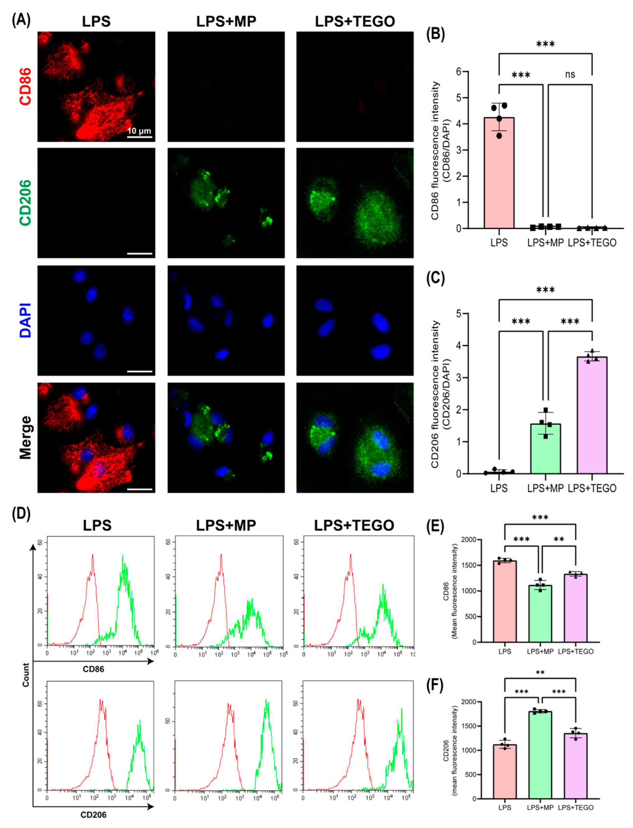Ijms 24 14589 g003 Ijms 24 14589 g003