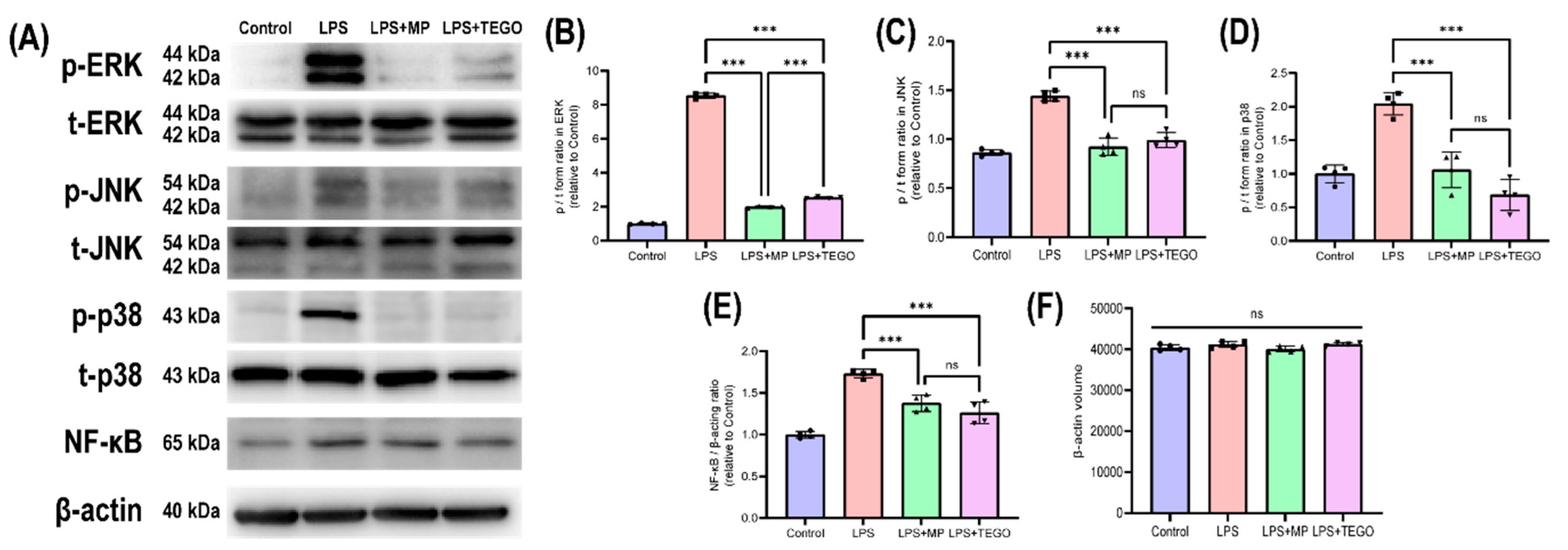 Ijms 24 14589 g005 Ijms 24 14589 g005
