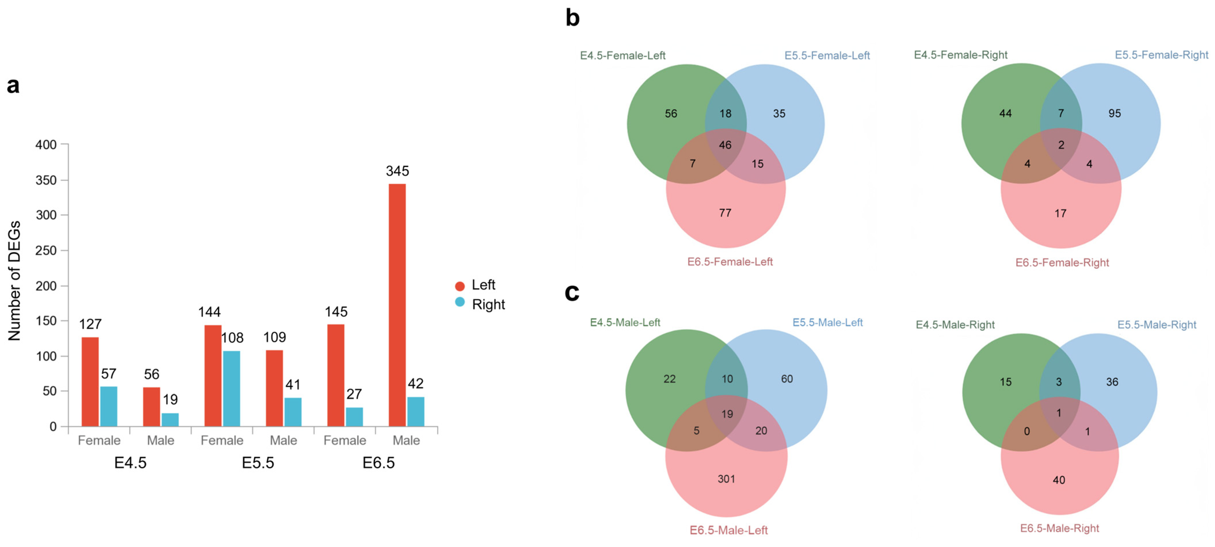 Ijms 24 14597 g003 Ijms 24 14597 g003