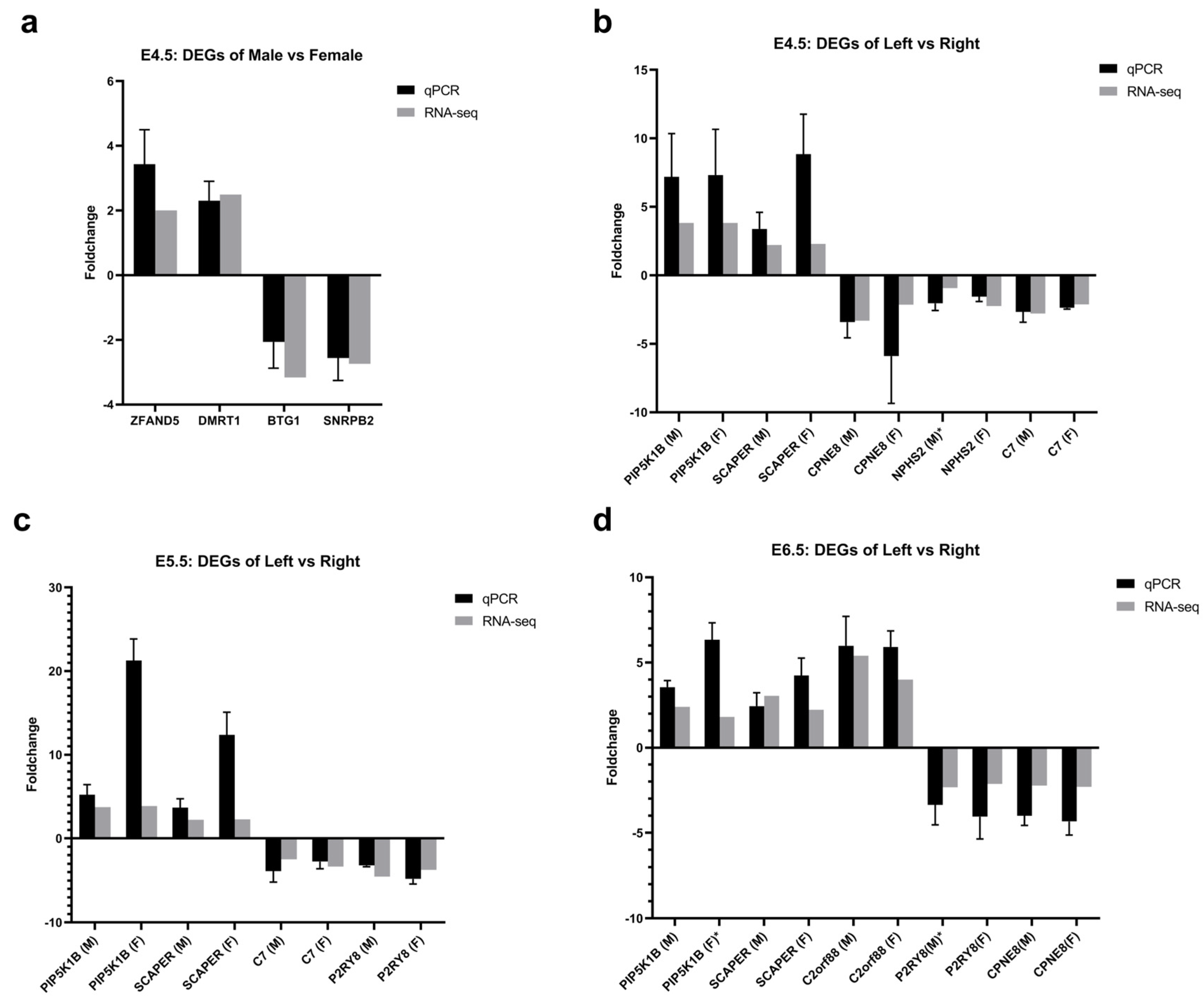 Ijms 24 14597 g004 Ijms 24 14597 g004