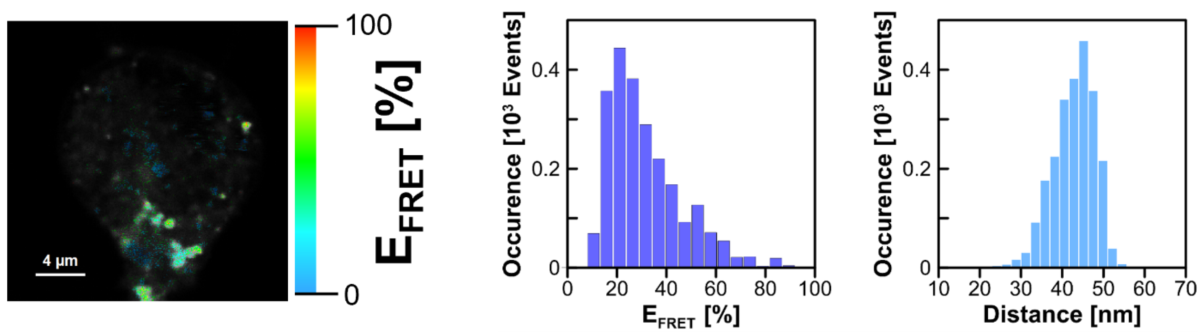 Ijms 24 14602 g008 Ijms 24 14602 g008