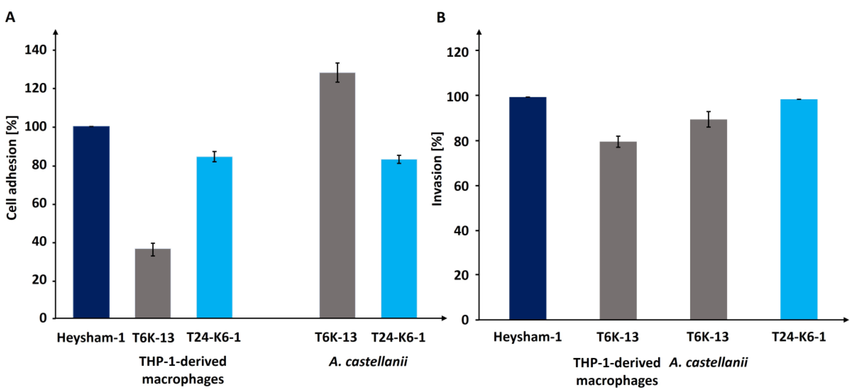 Ijms 24 14602 g011 Ijms 24 14602 g011
