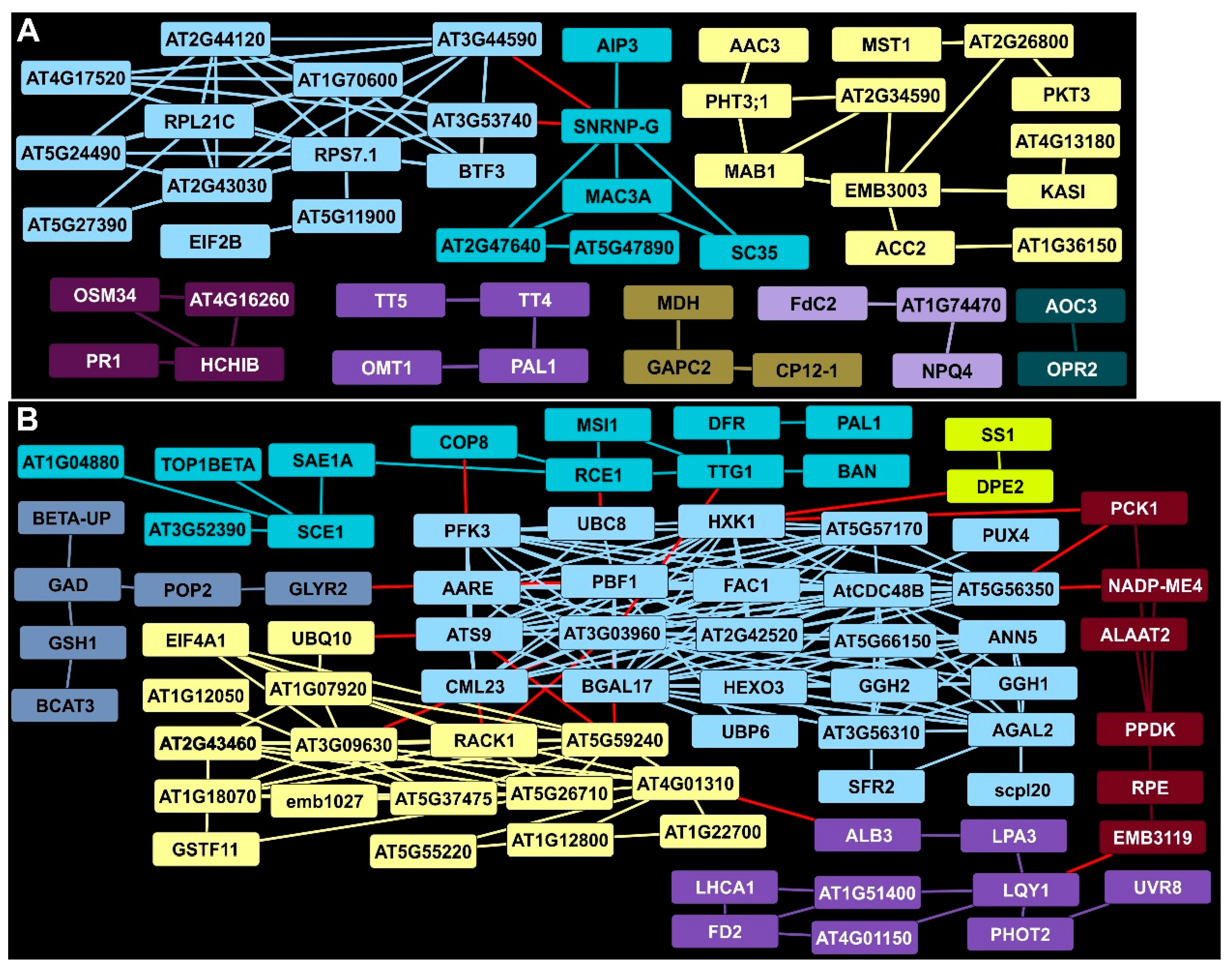 Ijms 24 14630 g003 Ijms 24 14630 g003