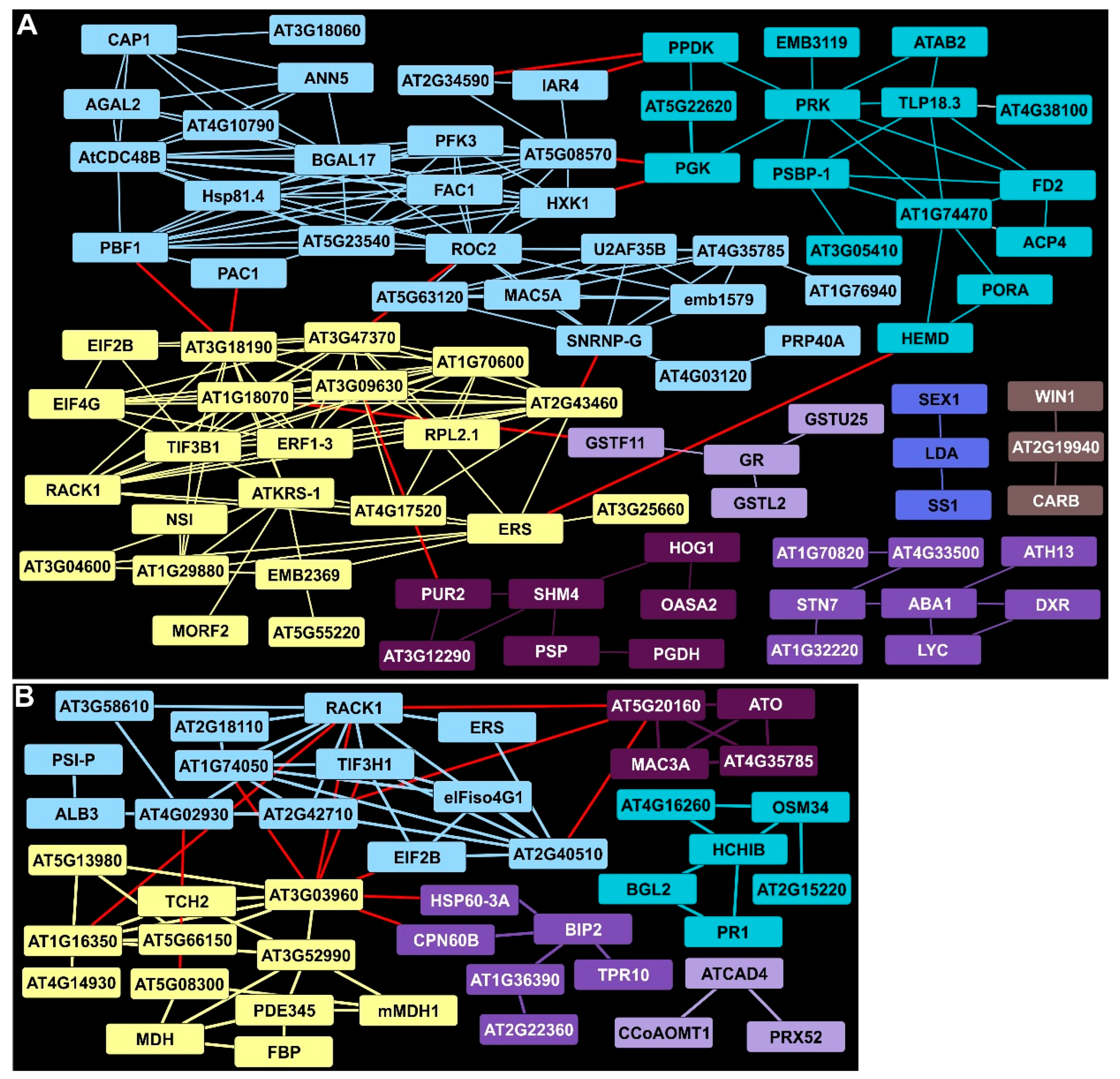 Ijms 24 14630 g004 Ijms 24 14630 g004