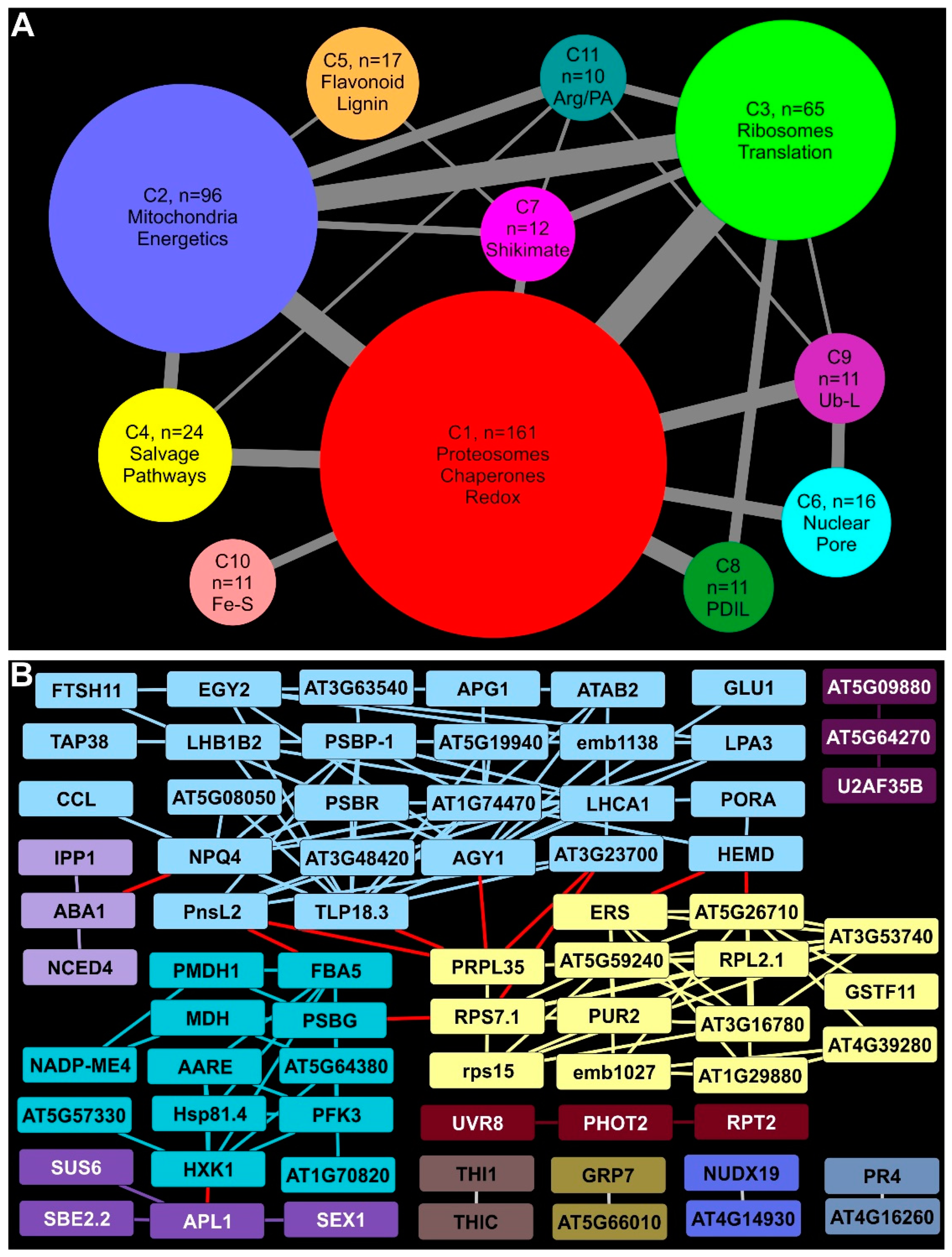 Ijms 24 14630 g005 Ijms 24 14630 g005