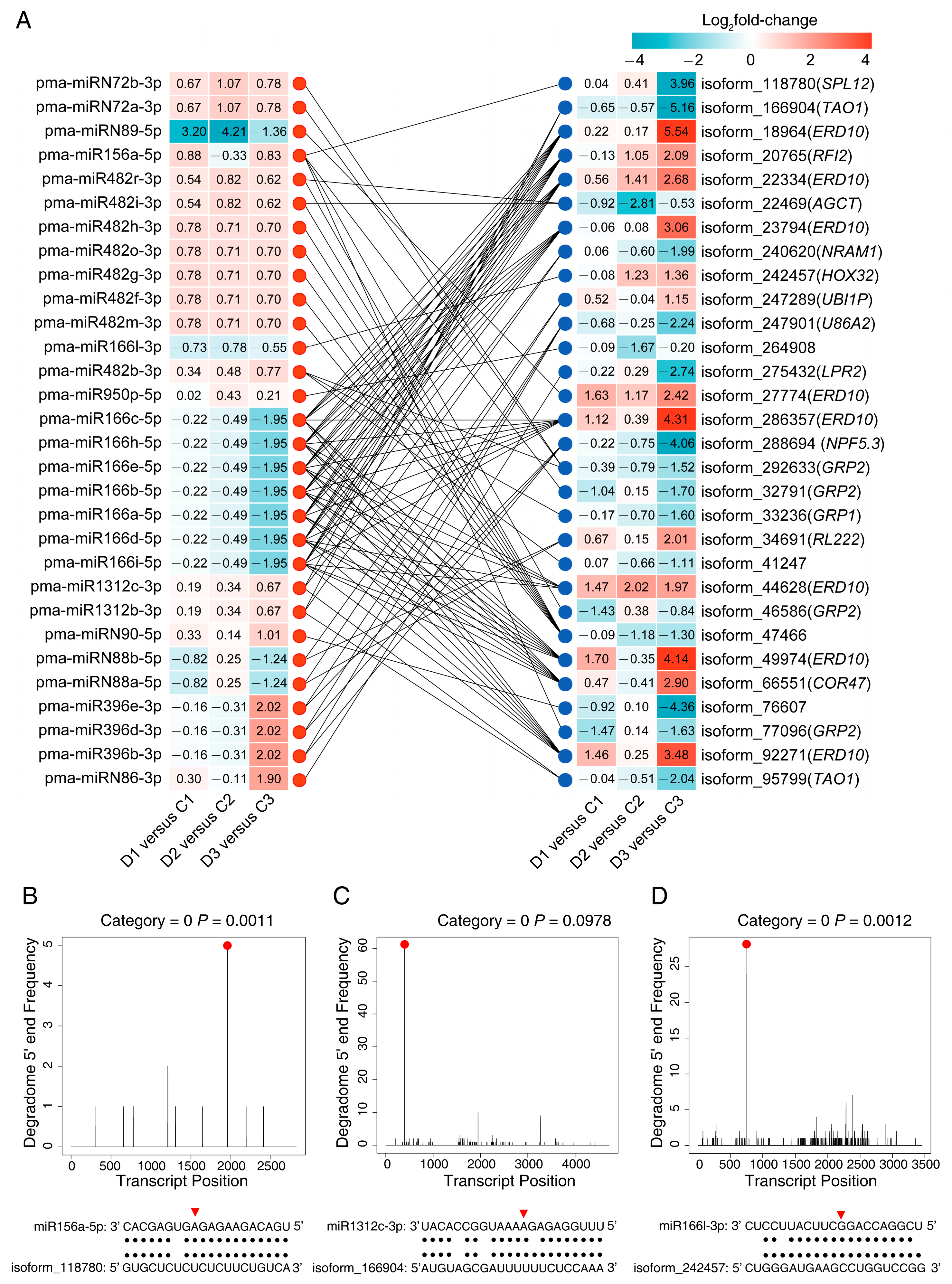 Ijms 24 14655 g004 Ijms 24 14655 g004