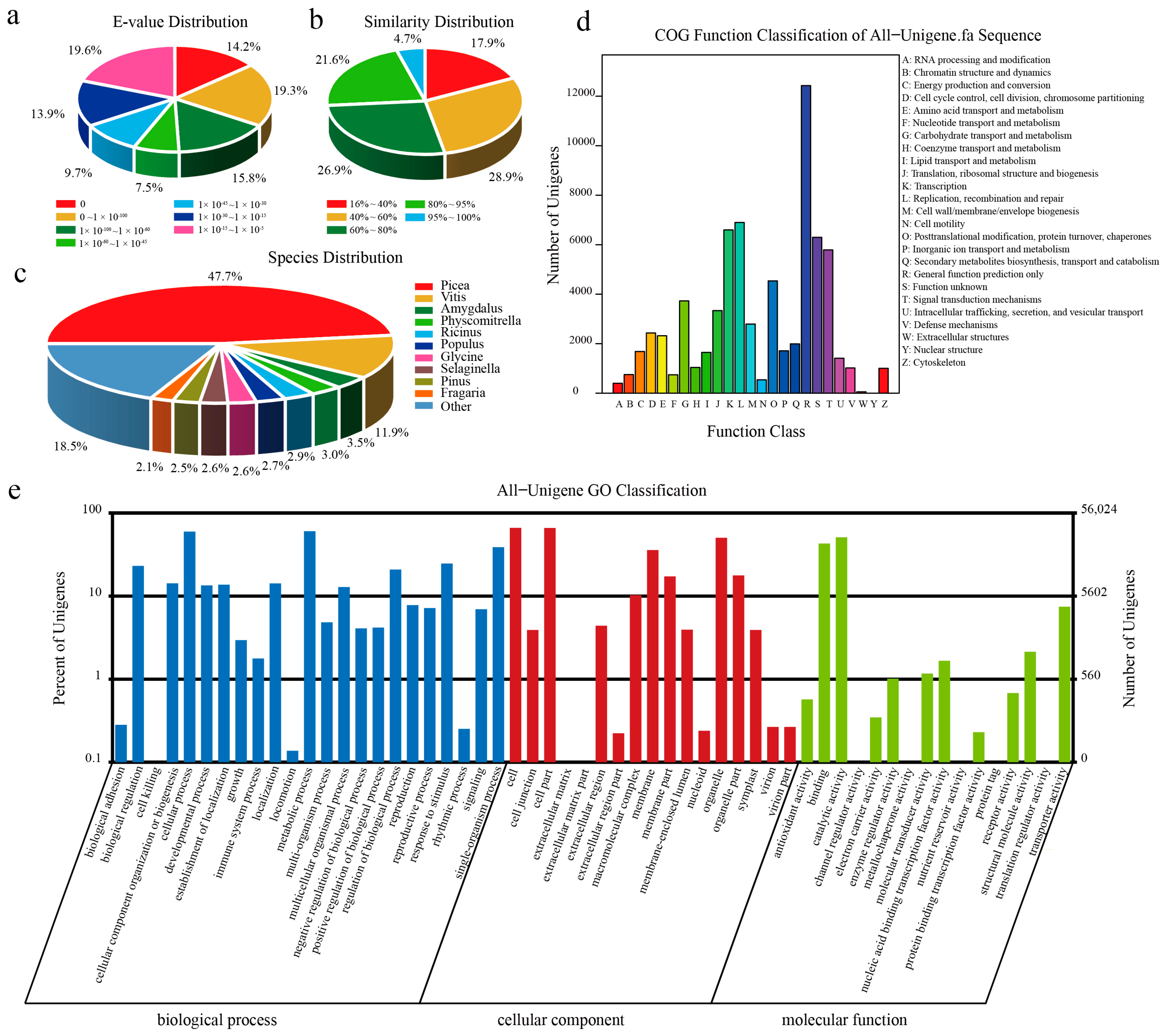 Ijms 24 14658 g002 Ijms 24 14658 g002