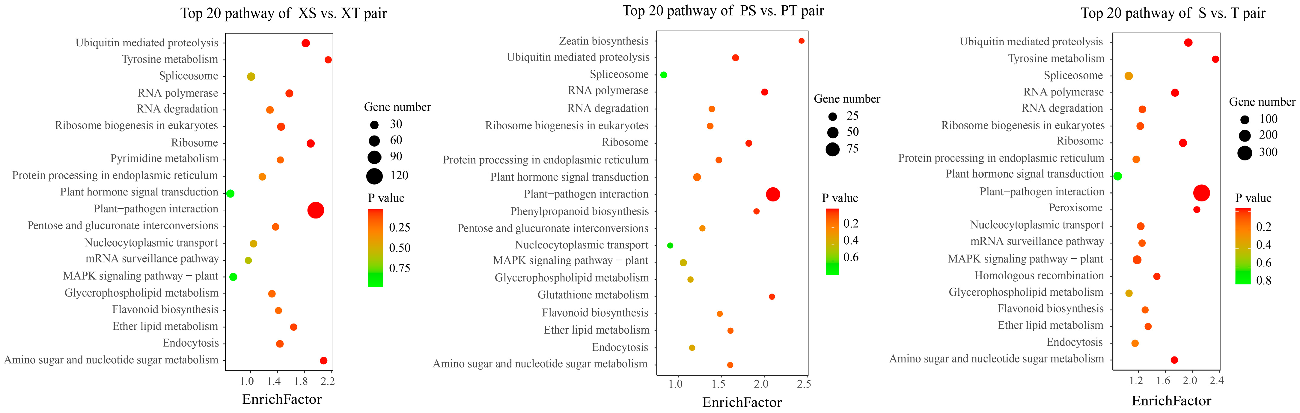 Ijms 24 14658 g004 Ijms 24 14658 g004