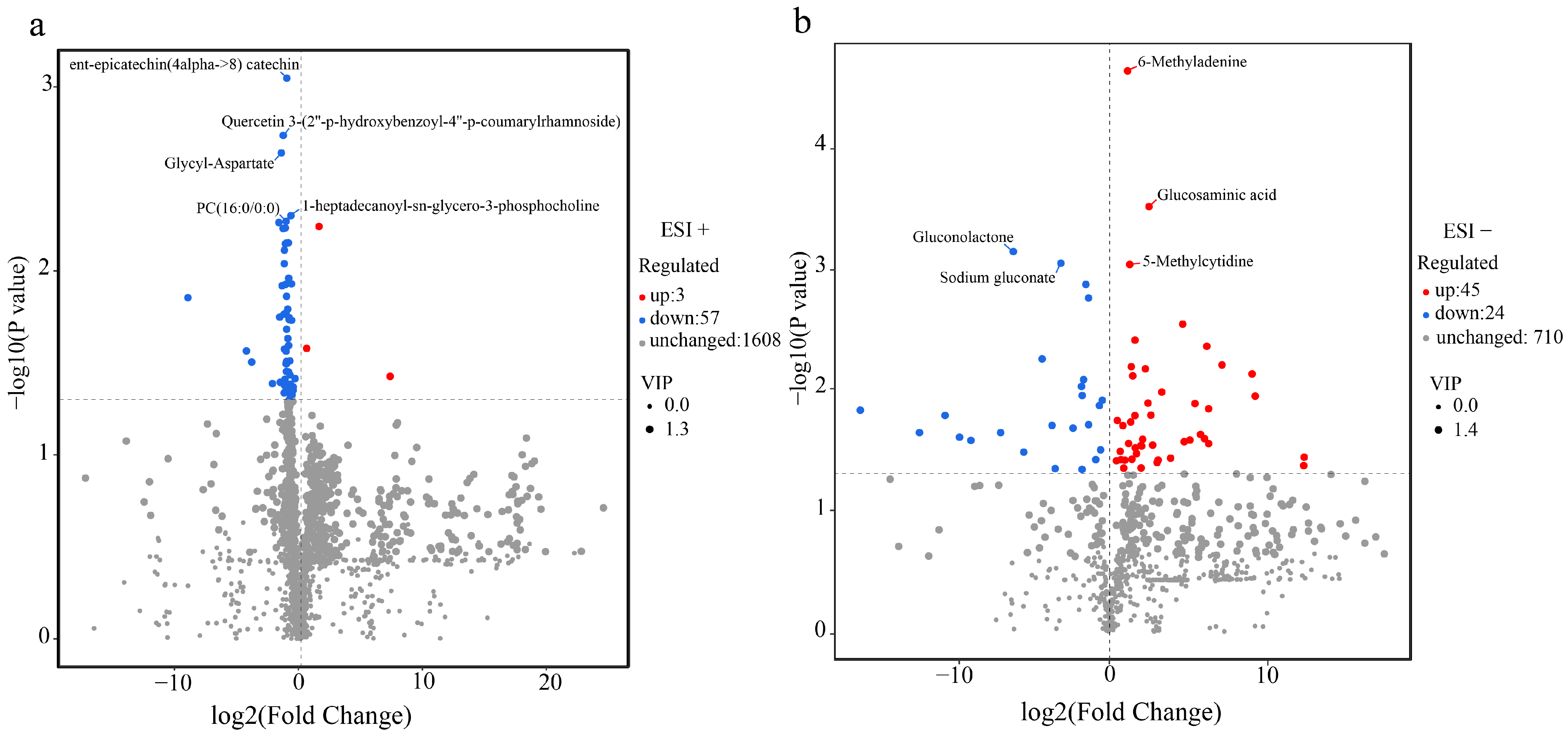 Ijms 24 14658 g005 Ijms 24 14658 g005
