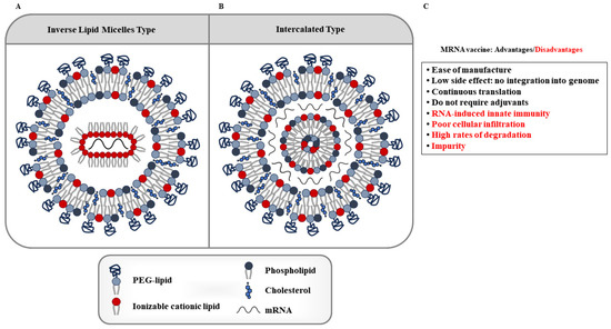 Cancer/Testis Antigens as Targets for RNA-Based Anticancer
