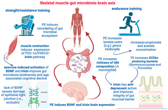Physical Exercise as Disease-Modifying Alternative against