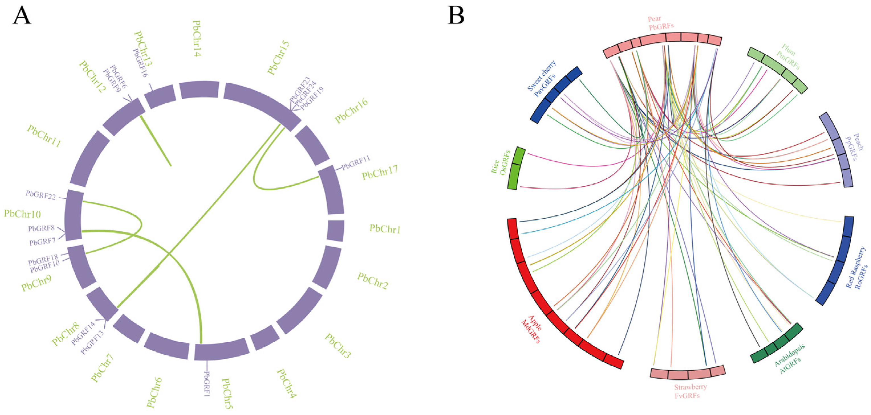Ijms 24 14690 g003 Ijms 24 14690 g003